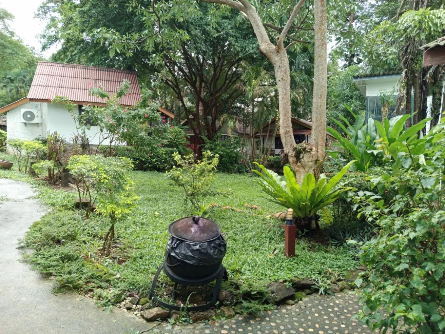Garden view in Faye Orchid Garden Resort