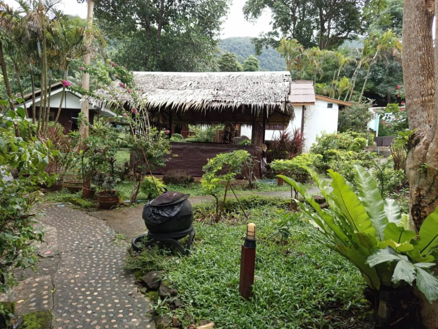 Garden in Faye Orchid Garden Resort