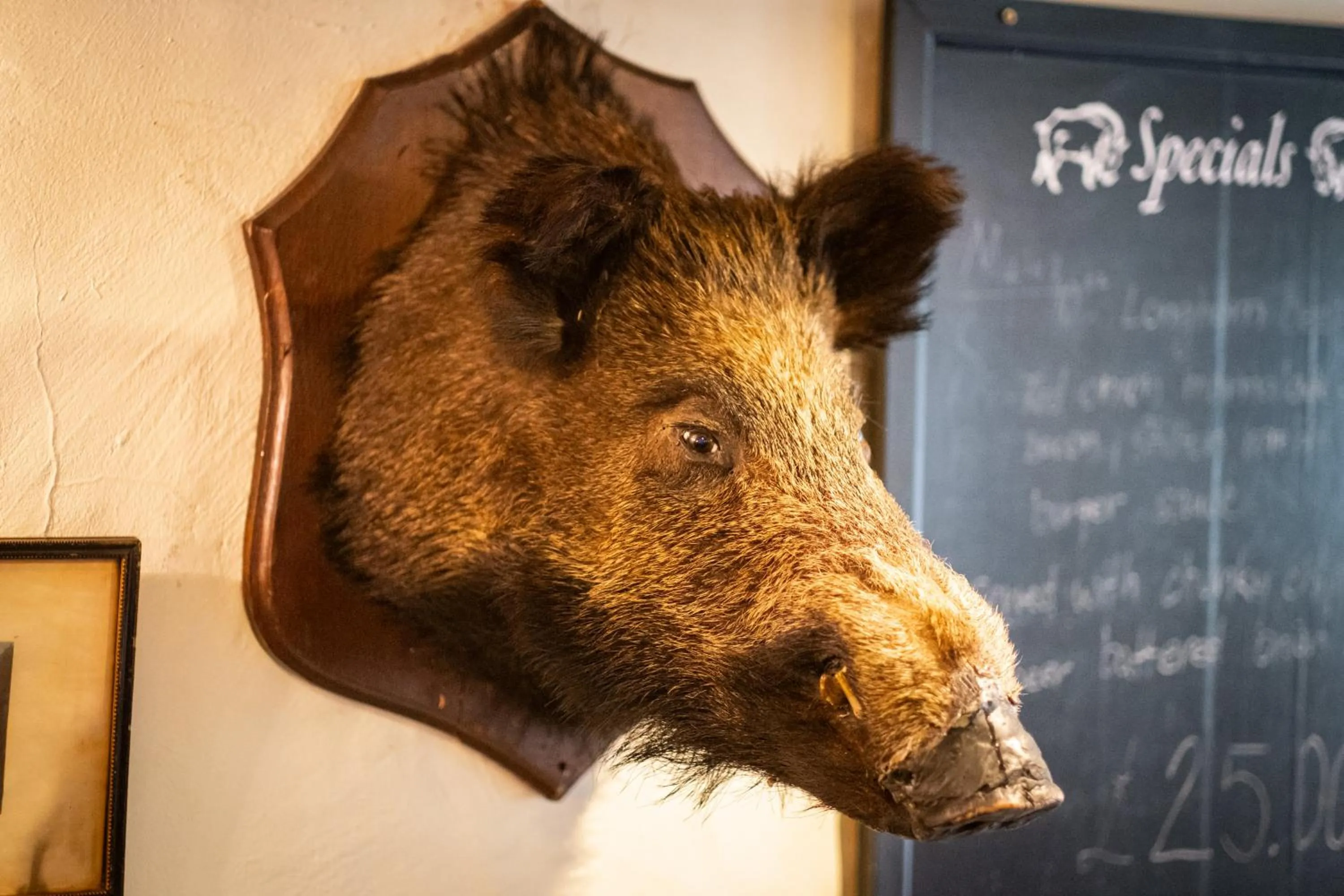 Lobby or reception in The Wild Boar
