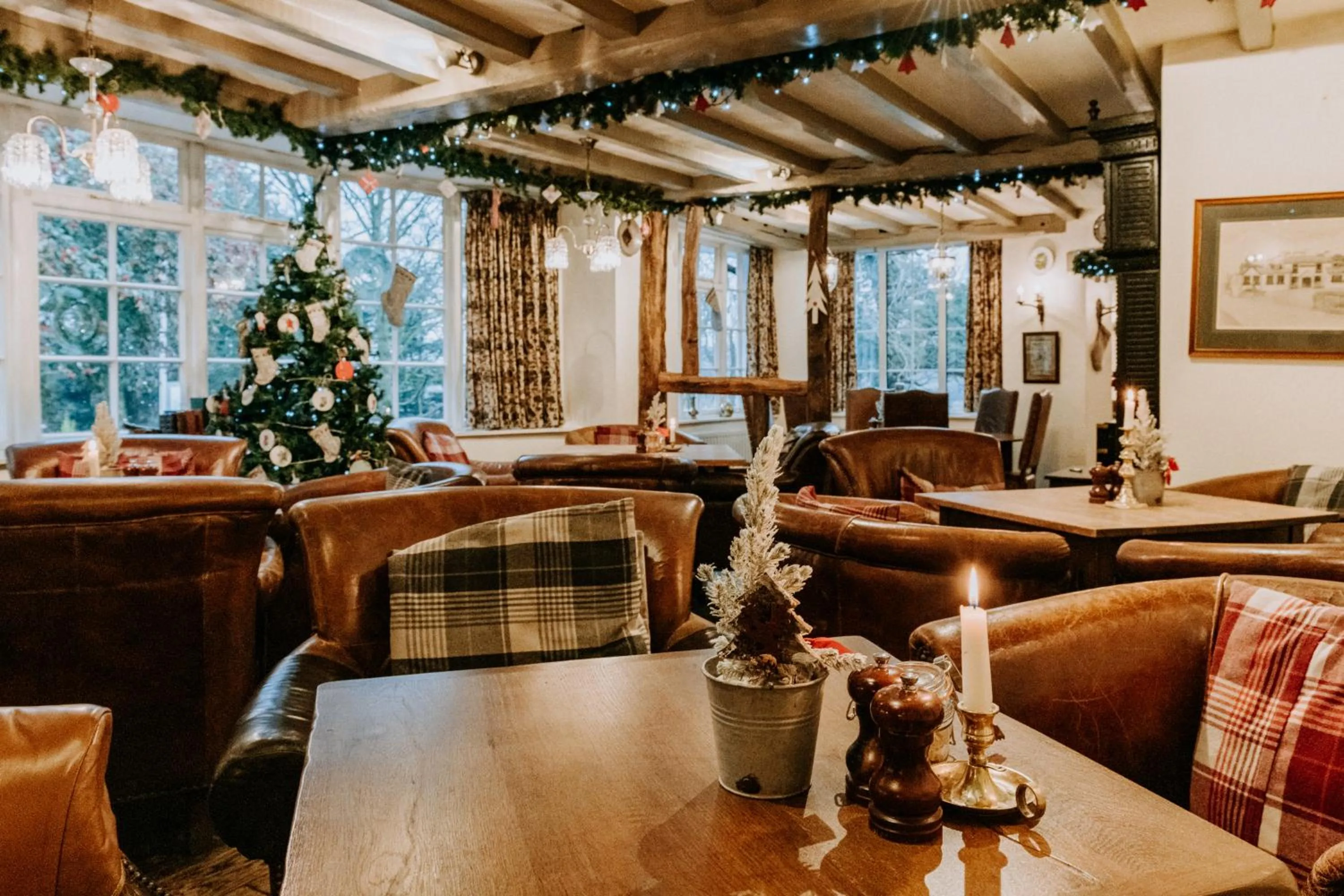 Winter in The Wild Boar