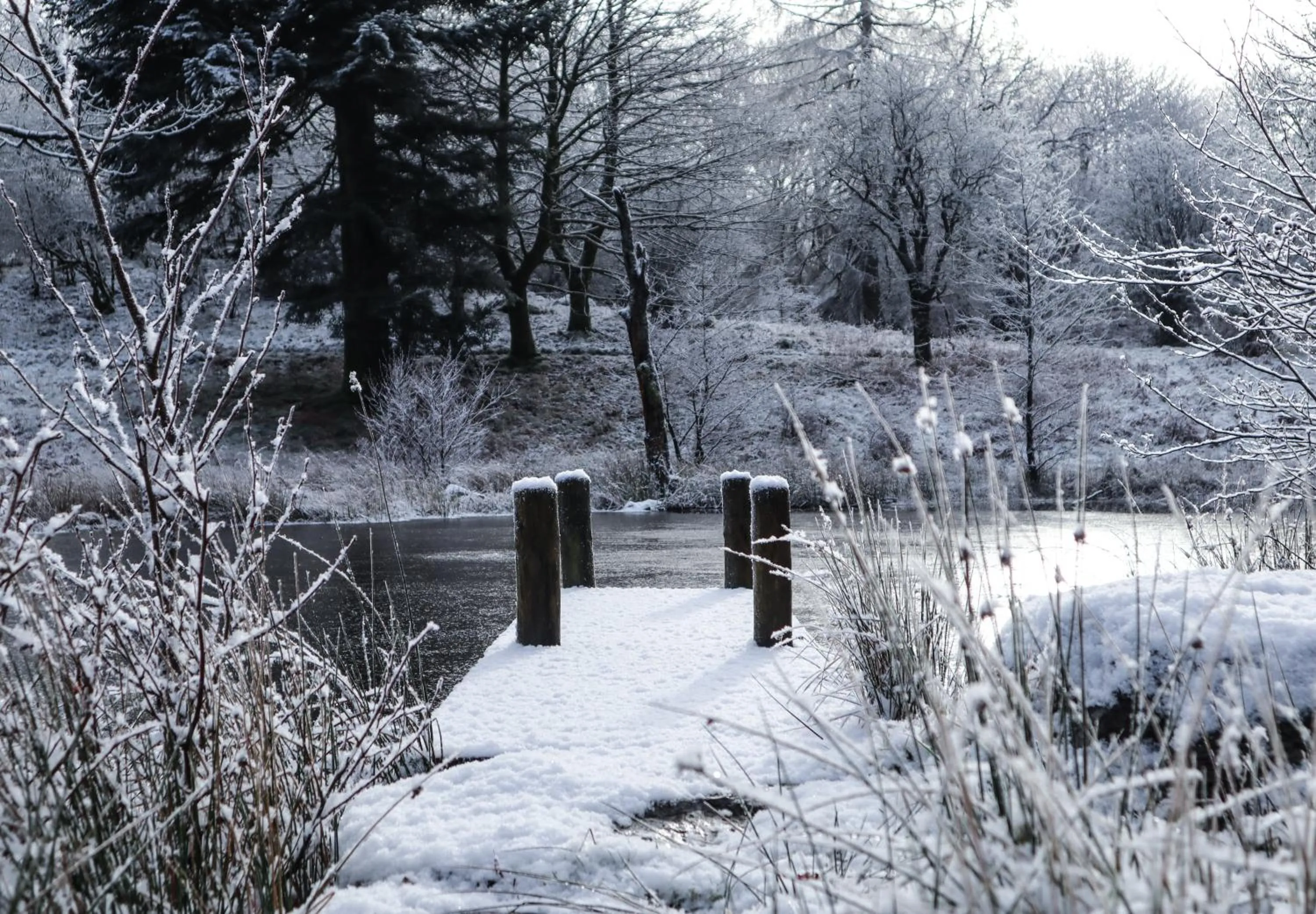 Activities in The Wild Boar