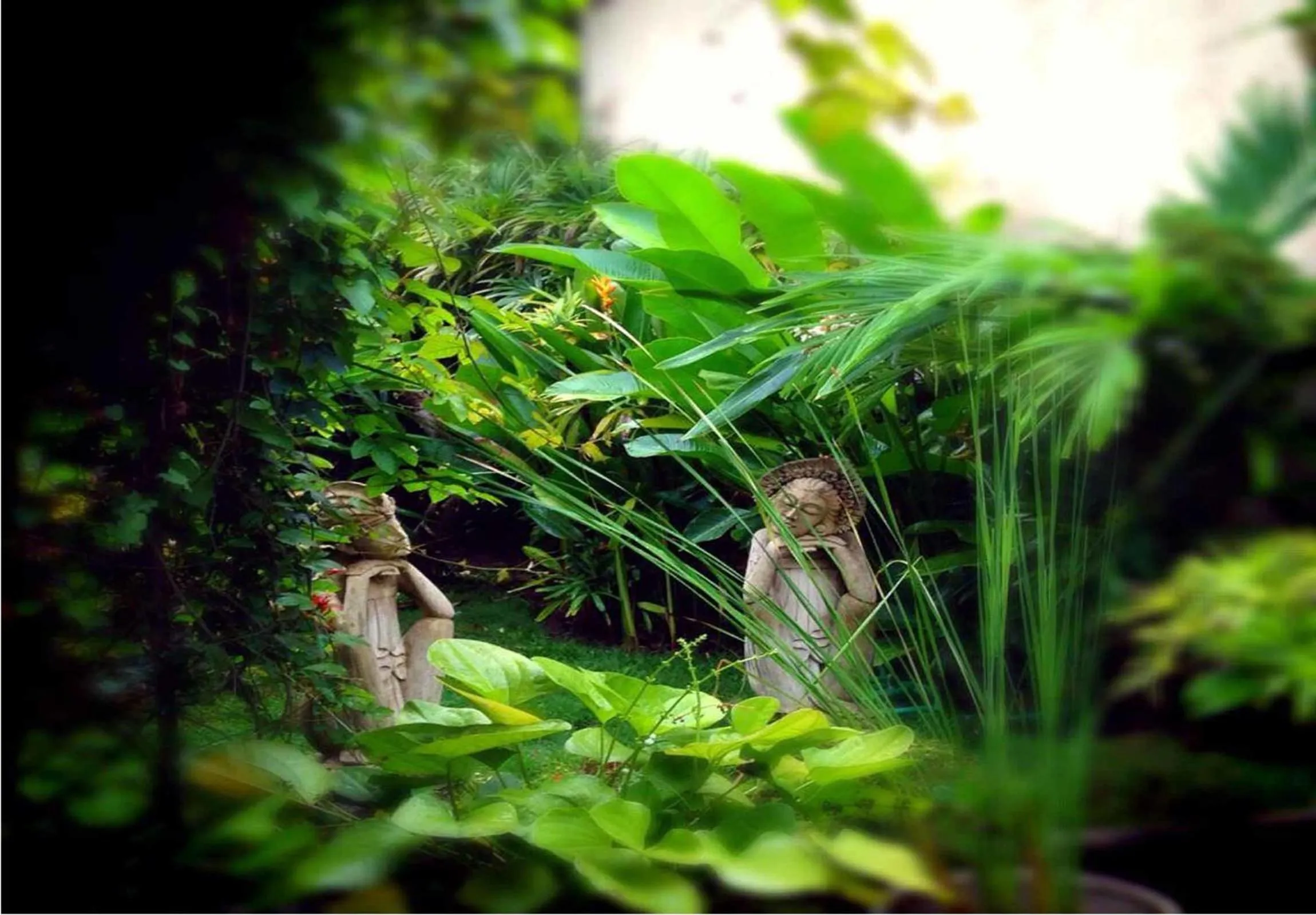 Garden view in Aqua Bali Villa