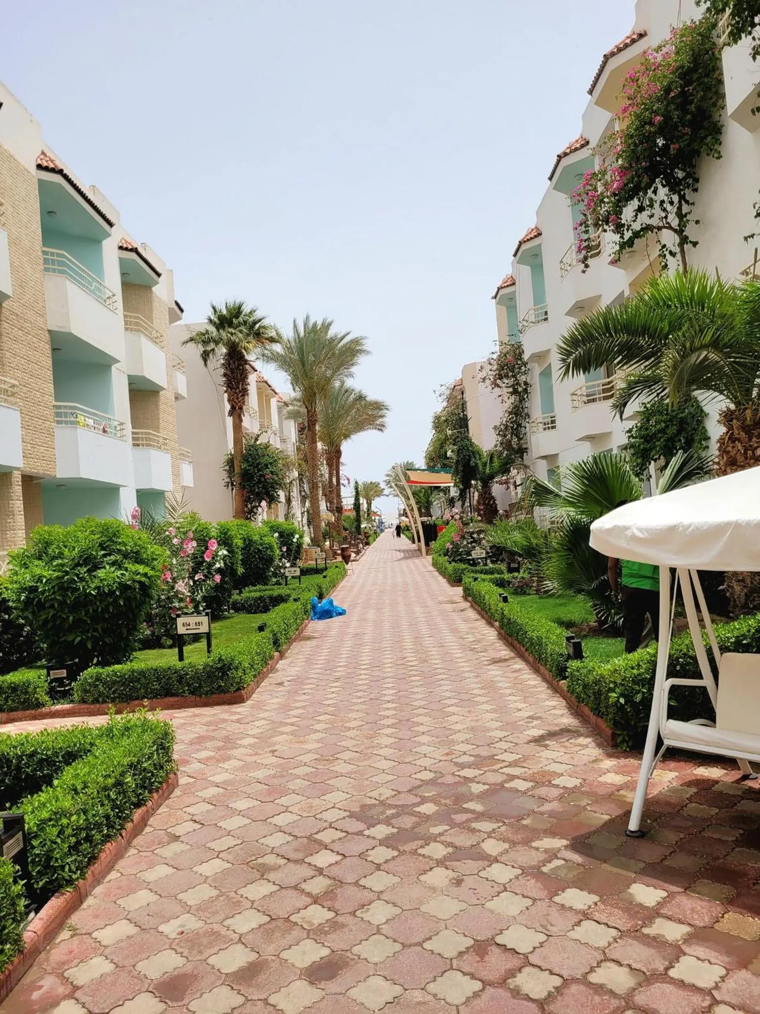 Garden view in MinaMark Beach Resort for Families and Couples Only