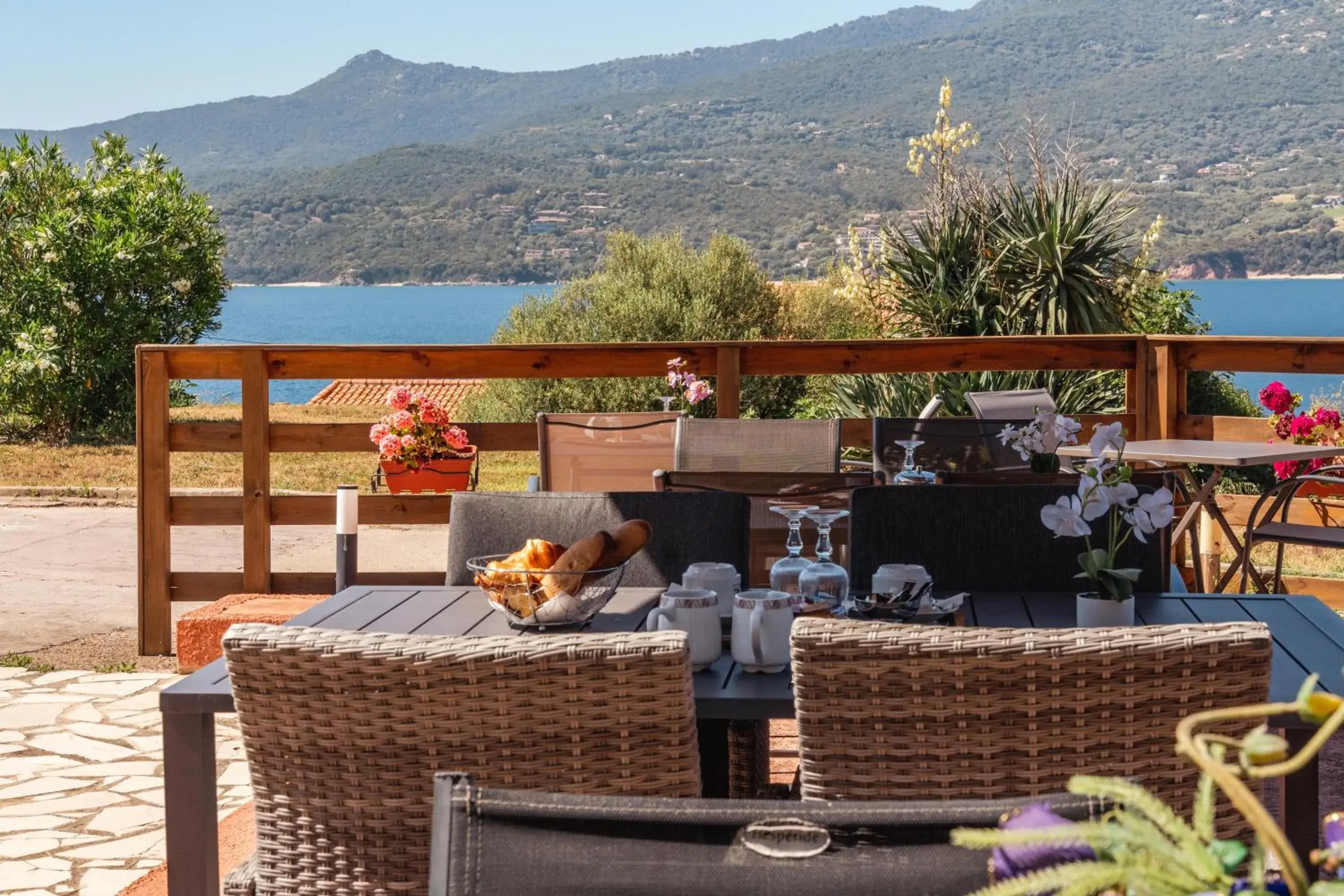 Hotel Hibiscus Hotel Hibiscus