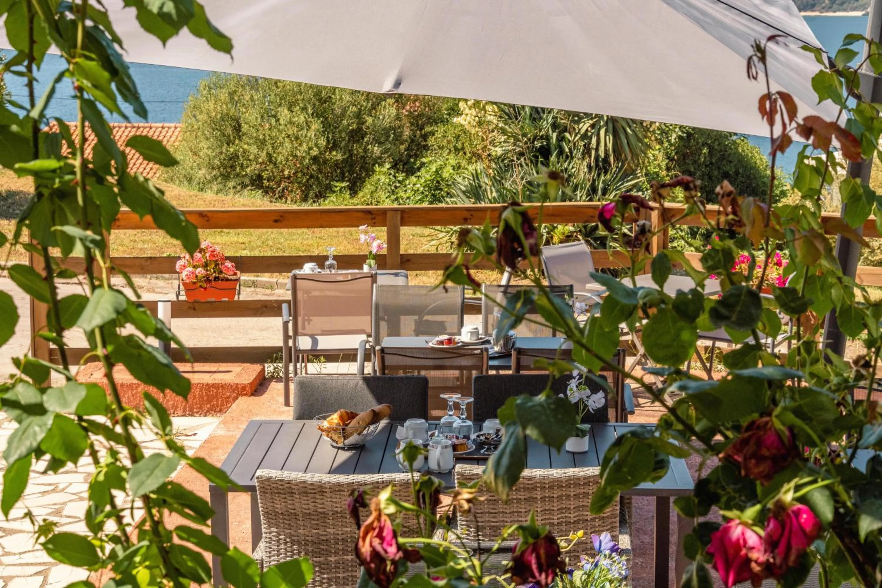 Patio in Hotel Hibiscus