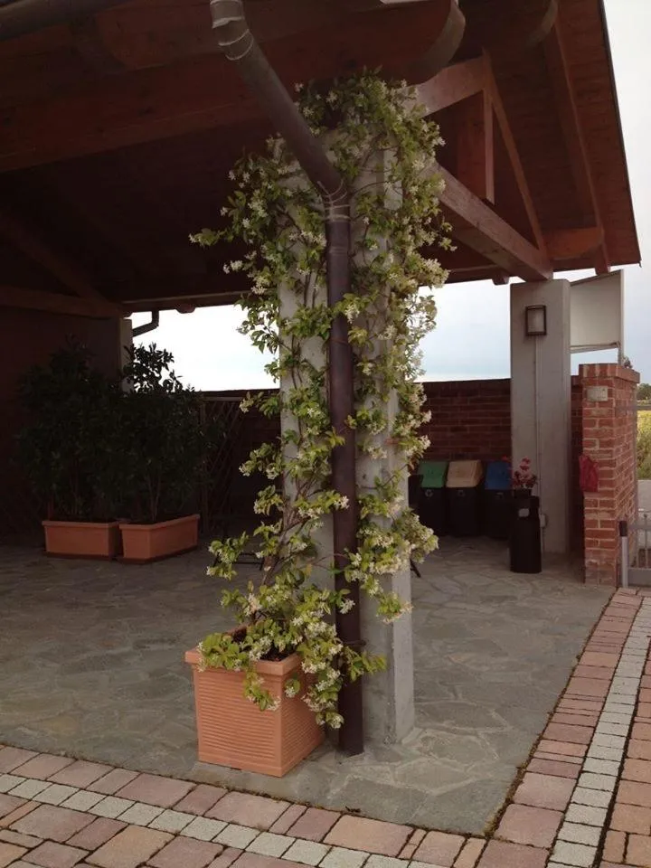 TV and multimedia in Eco-Residence