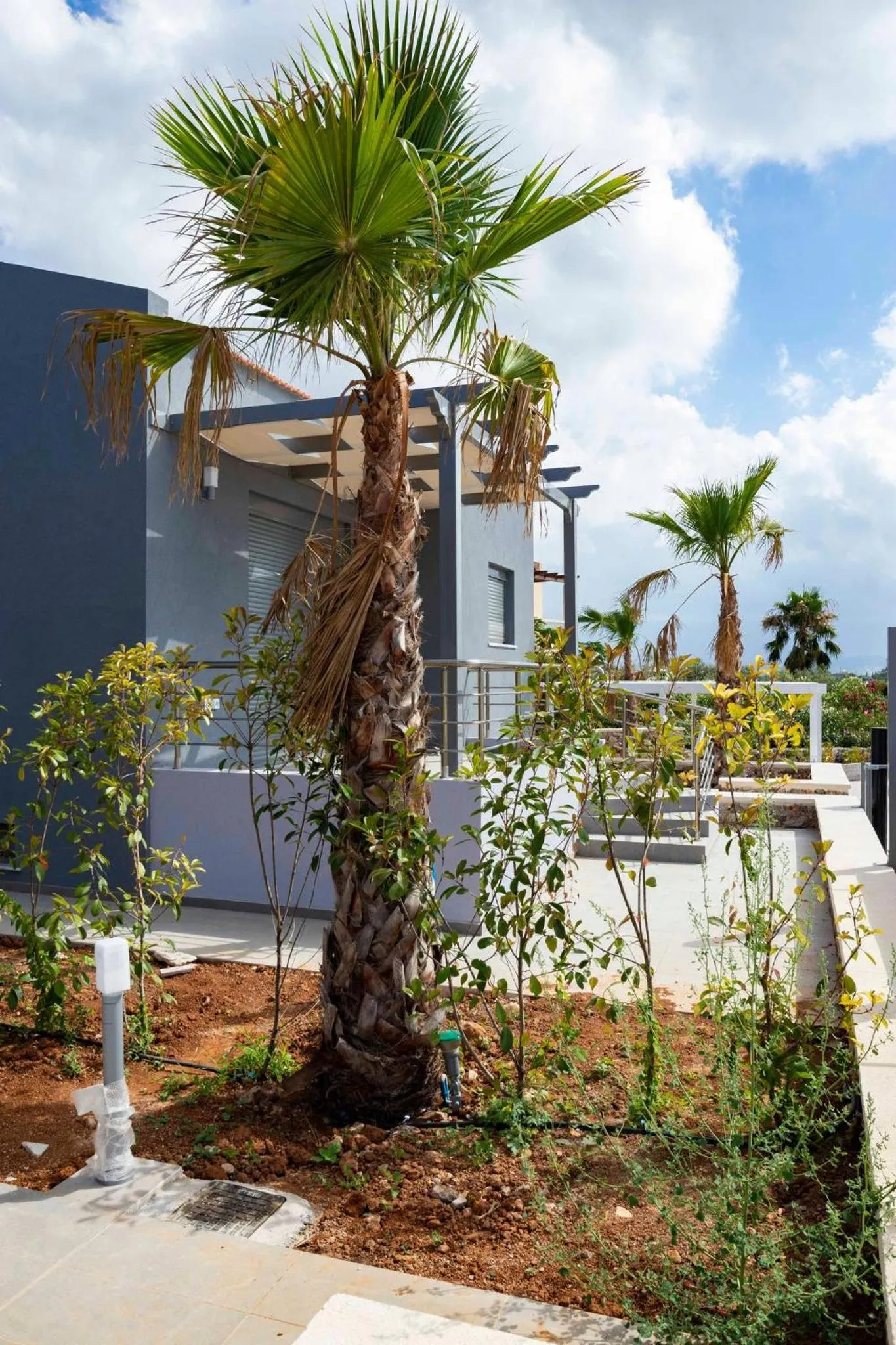 Garden in Electra Villas