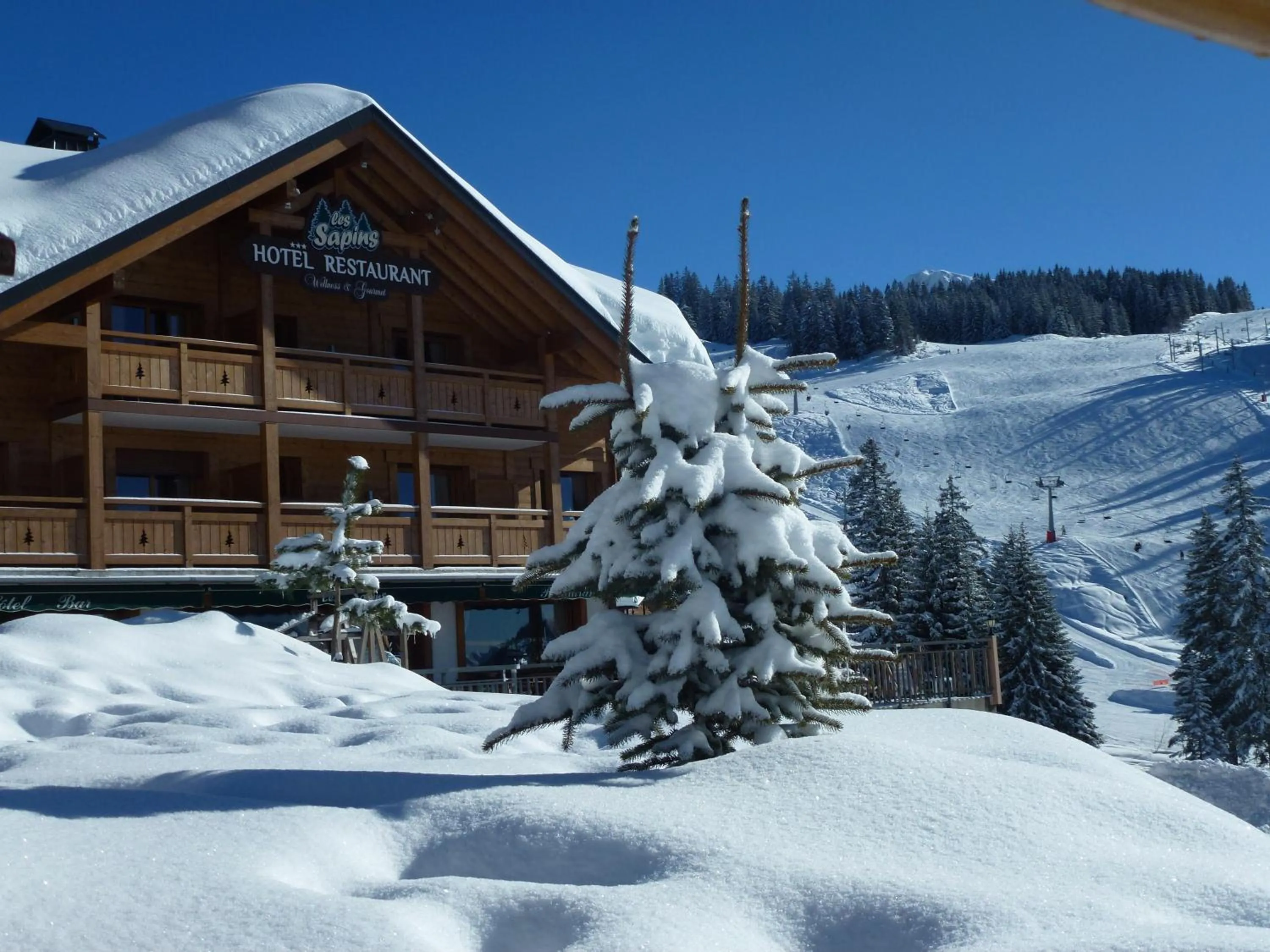 Facade/entrance in Hôtel Restaurant "Les Sapins" Wellness & Gourmet