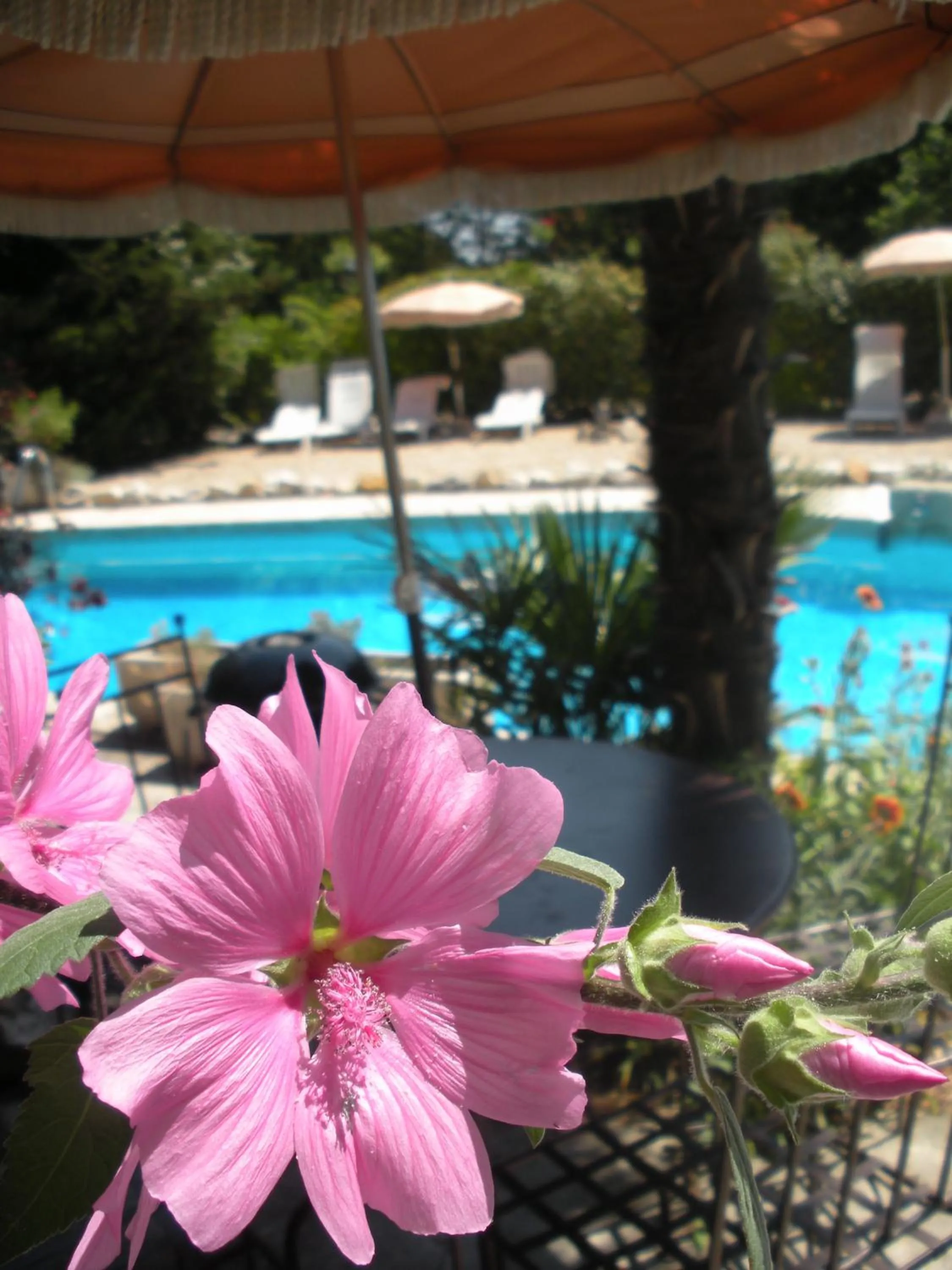 Swimming pool in Gites Climatisés Piscine Chauffée La Balancelle