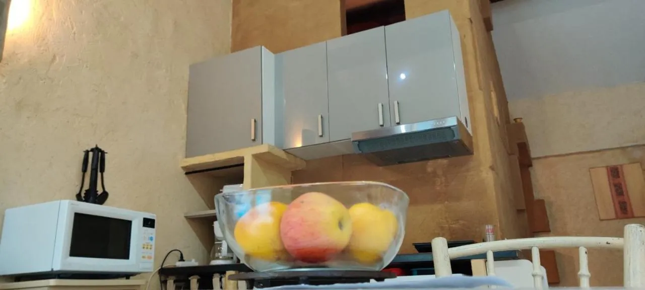 Kitchen or kitchenette in Gites Climatisés Piscine Chauffée La Balancelle