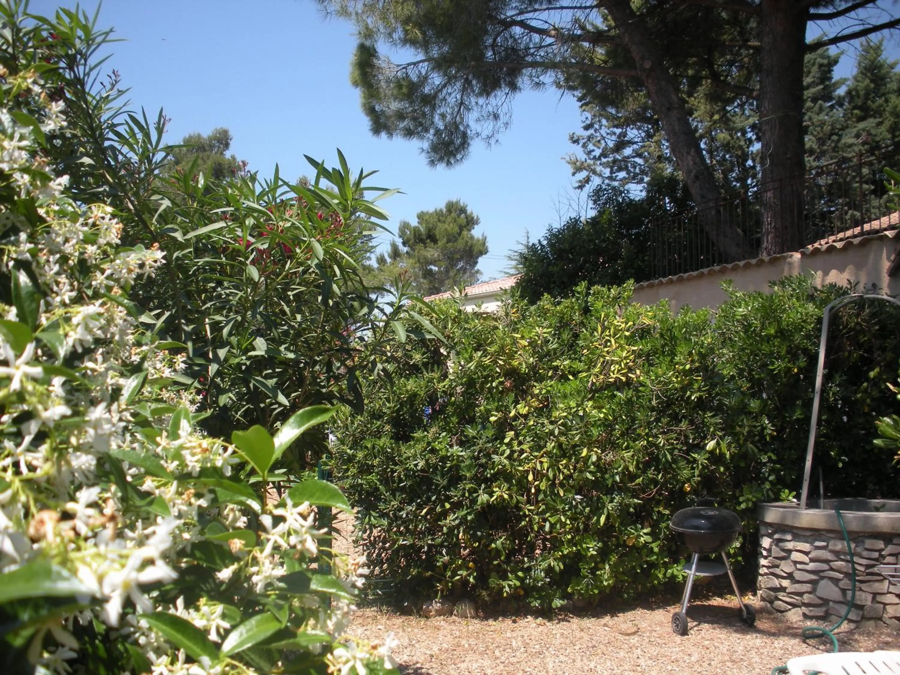Garden in Gites Climatisés Piscine Chauffée La Balancelle