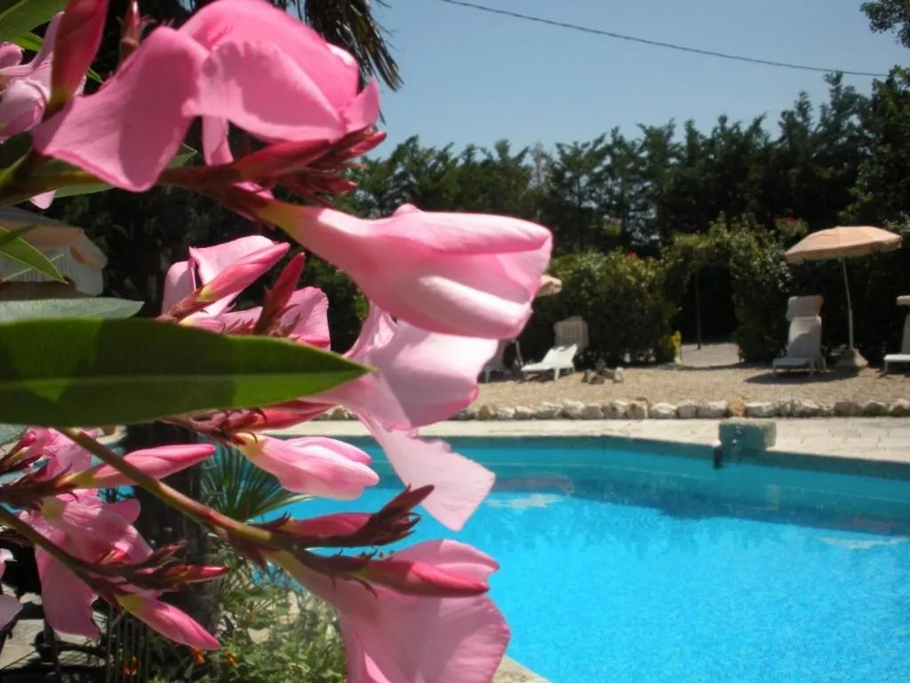 Swimming pool in Gites Climatisés Piscine Chauffée La Balancelle