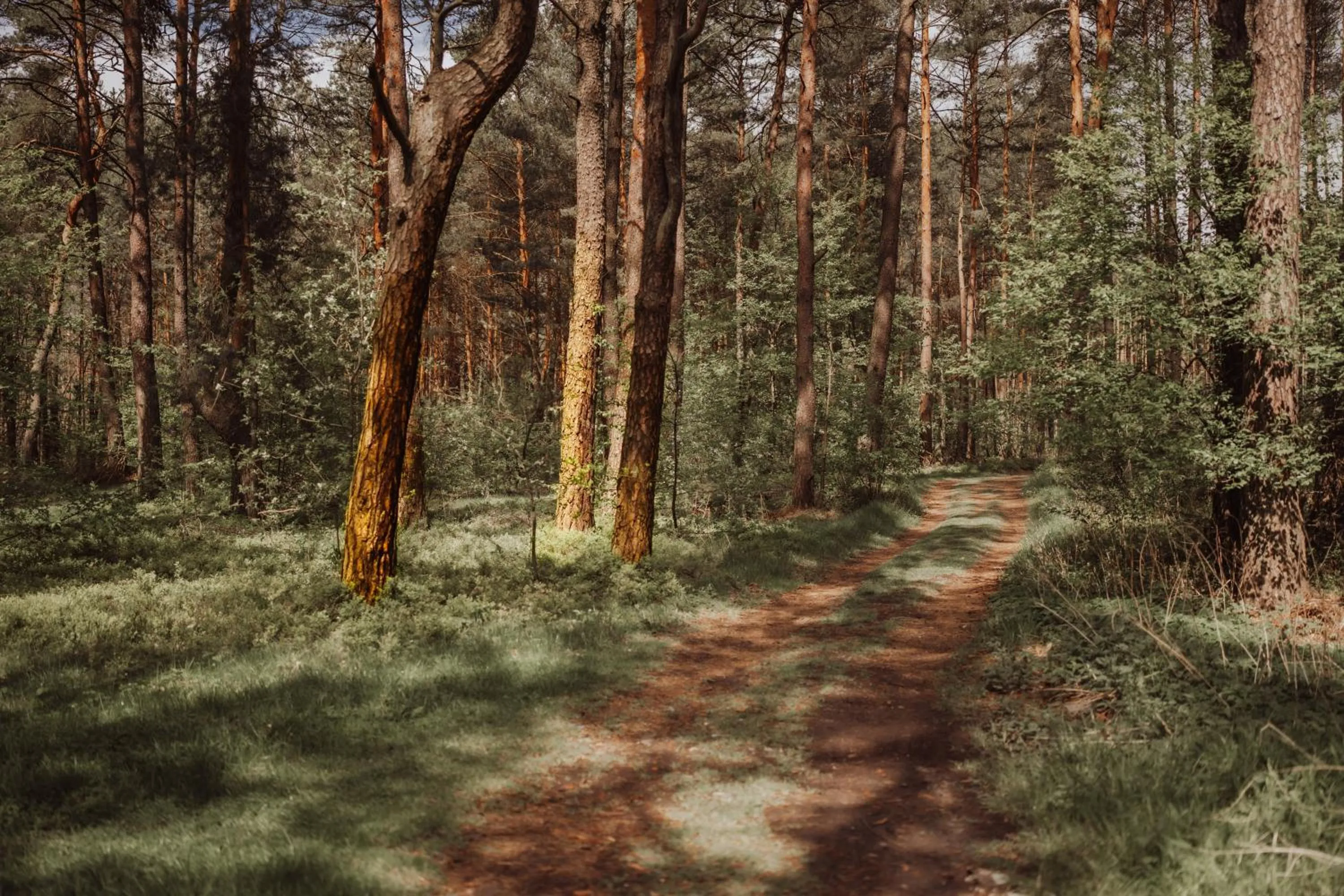 Hotel Natura Residence Business&SPA