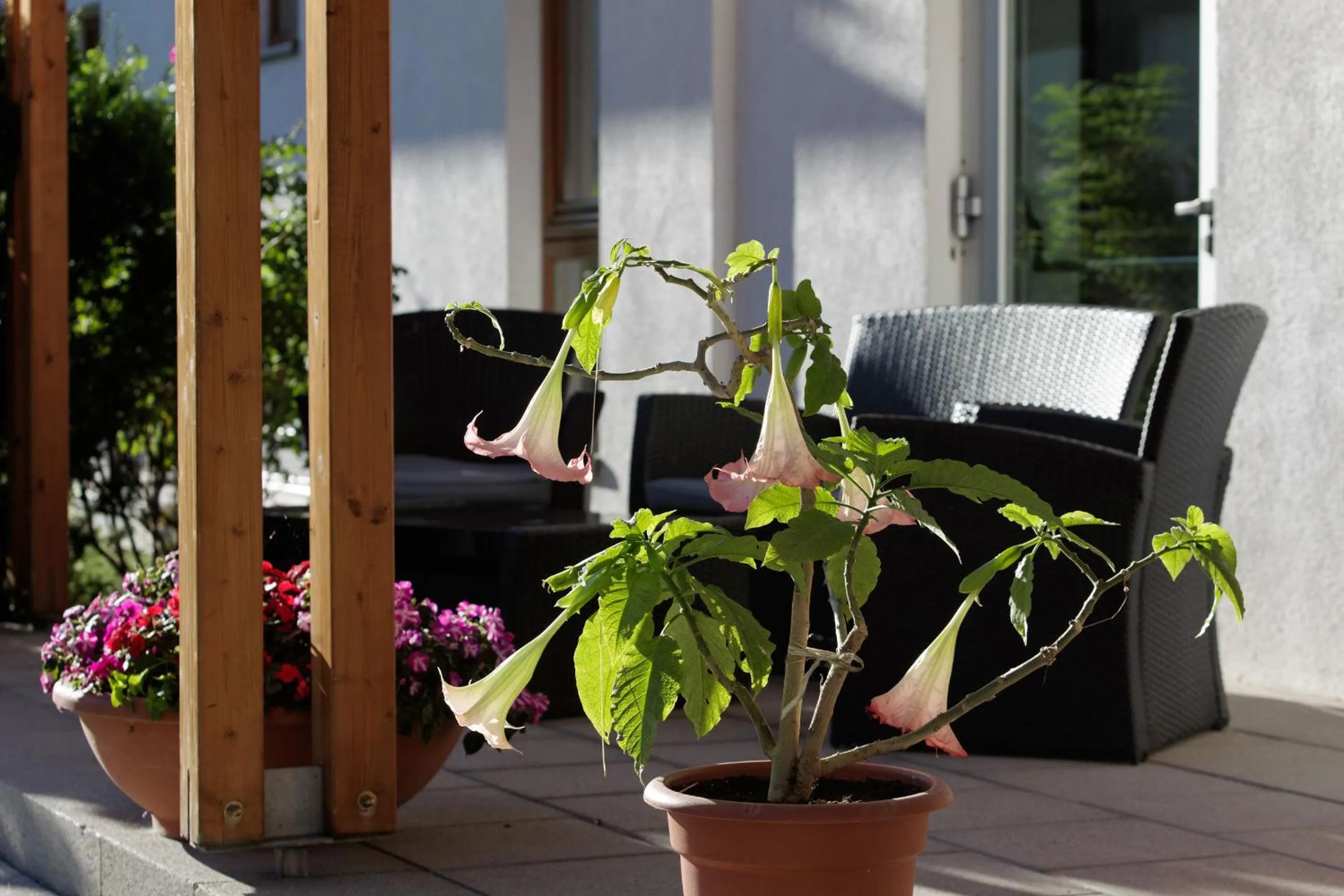 Decorative detail in Residence Margareth