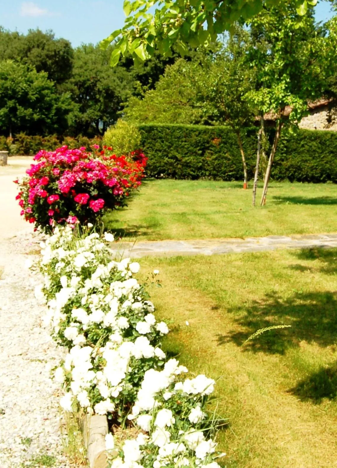 Garden in Borgo Nuovo San Martino