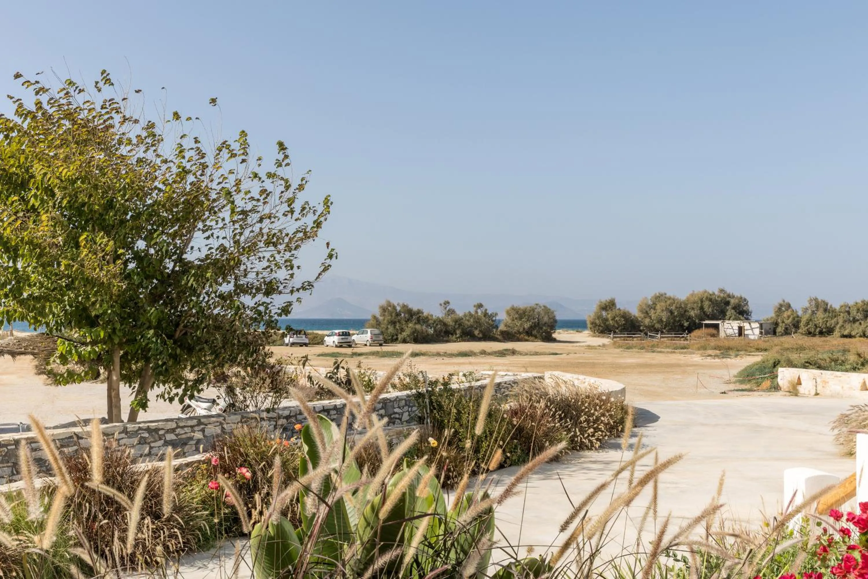 Spring in Marine Dream