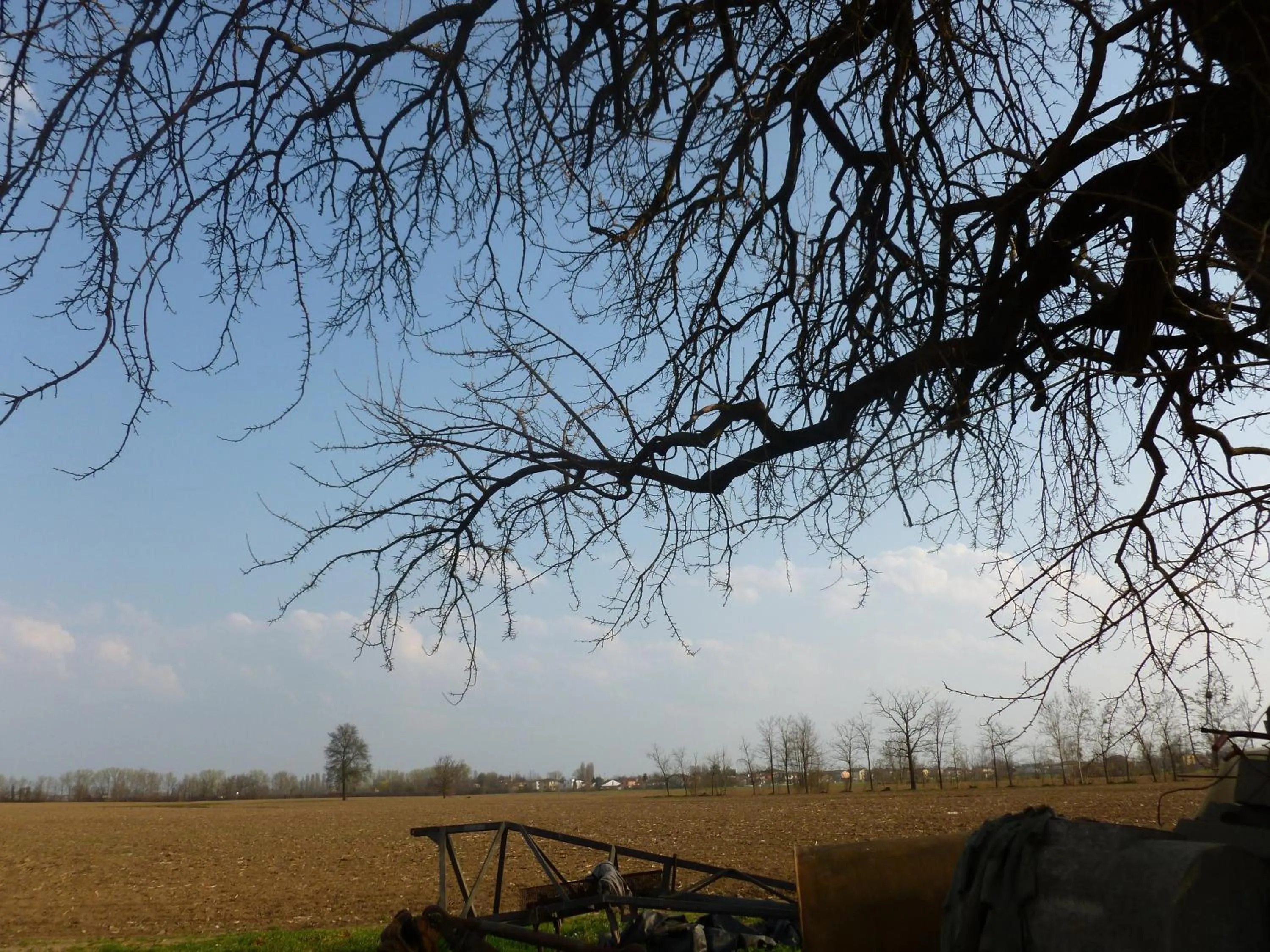 Neighbourhood in Agriturismo Corte Rocca