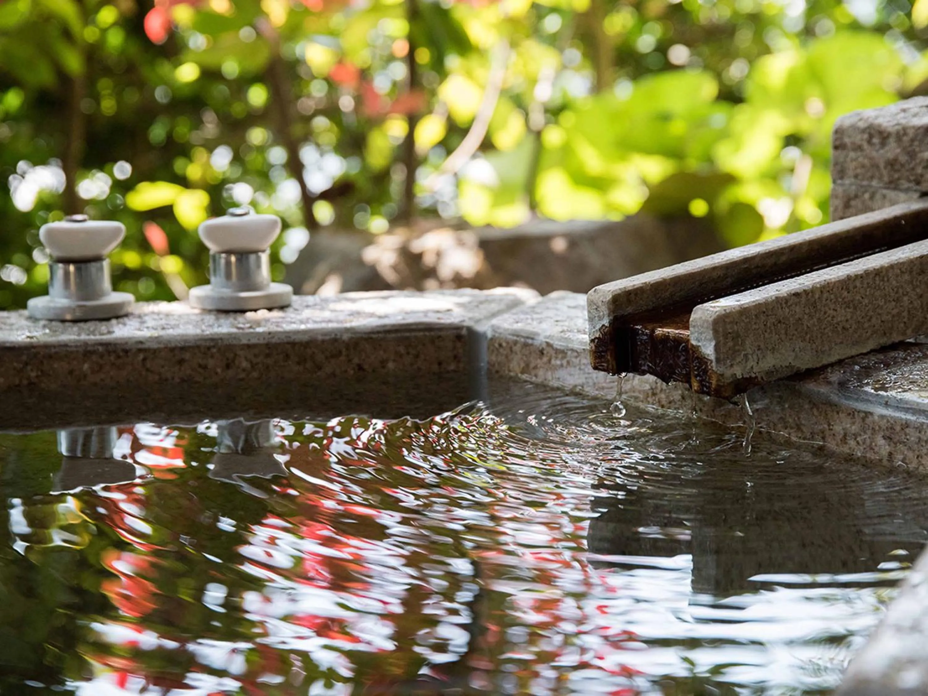 Photo of the whole room in Yamatoya Besso