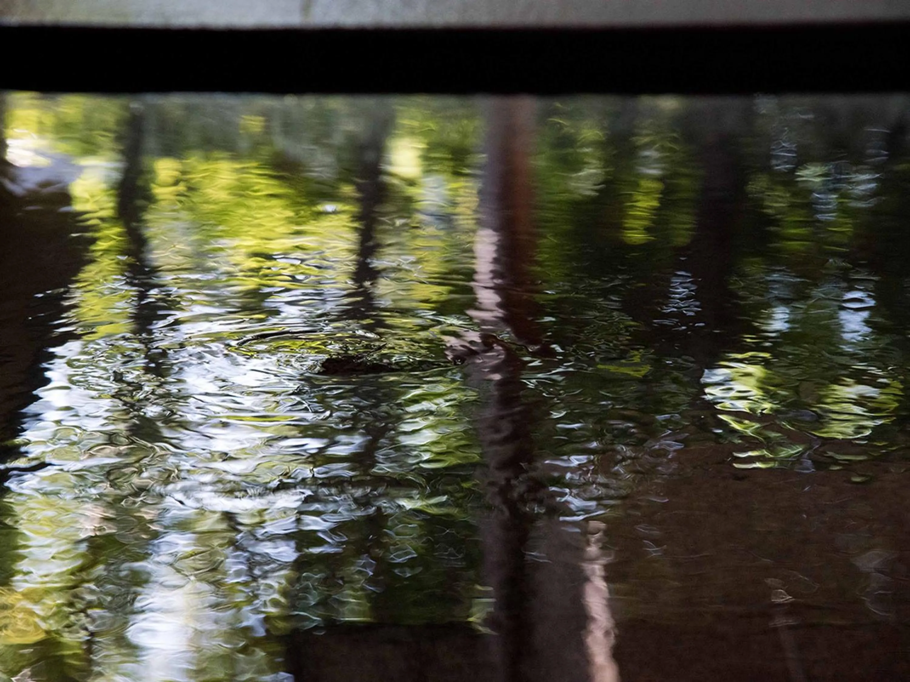 Hot Spring Bath in Yamatoya Besso