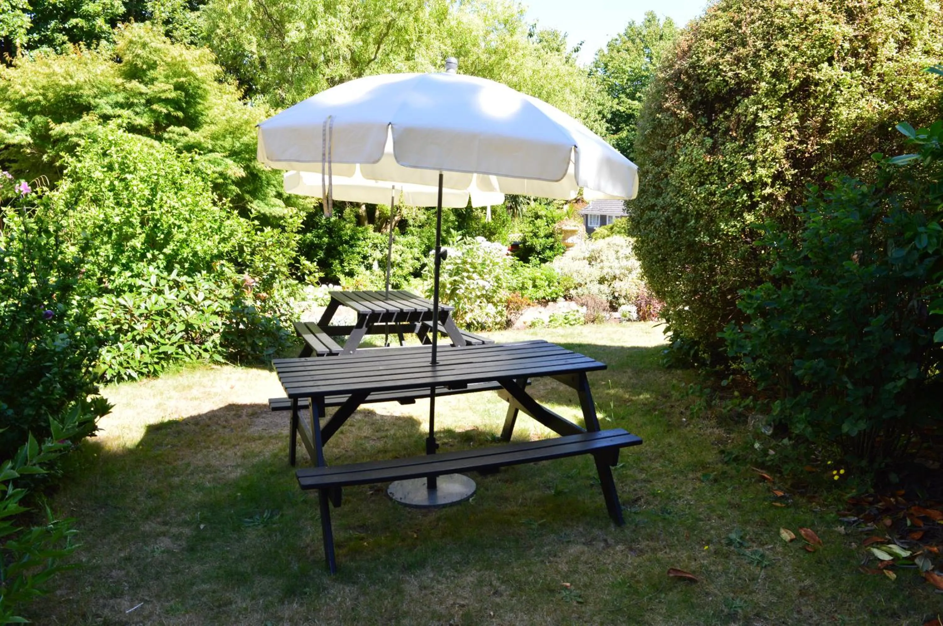 Garden in Somerton Lodge