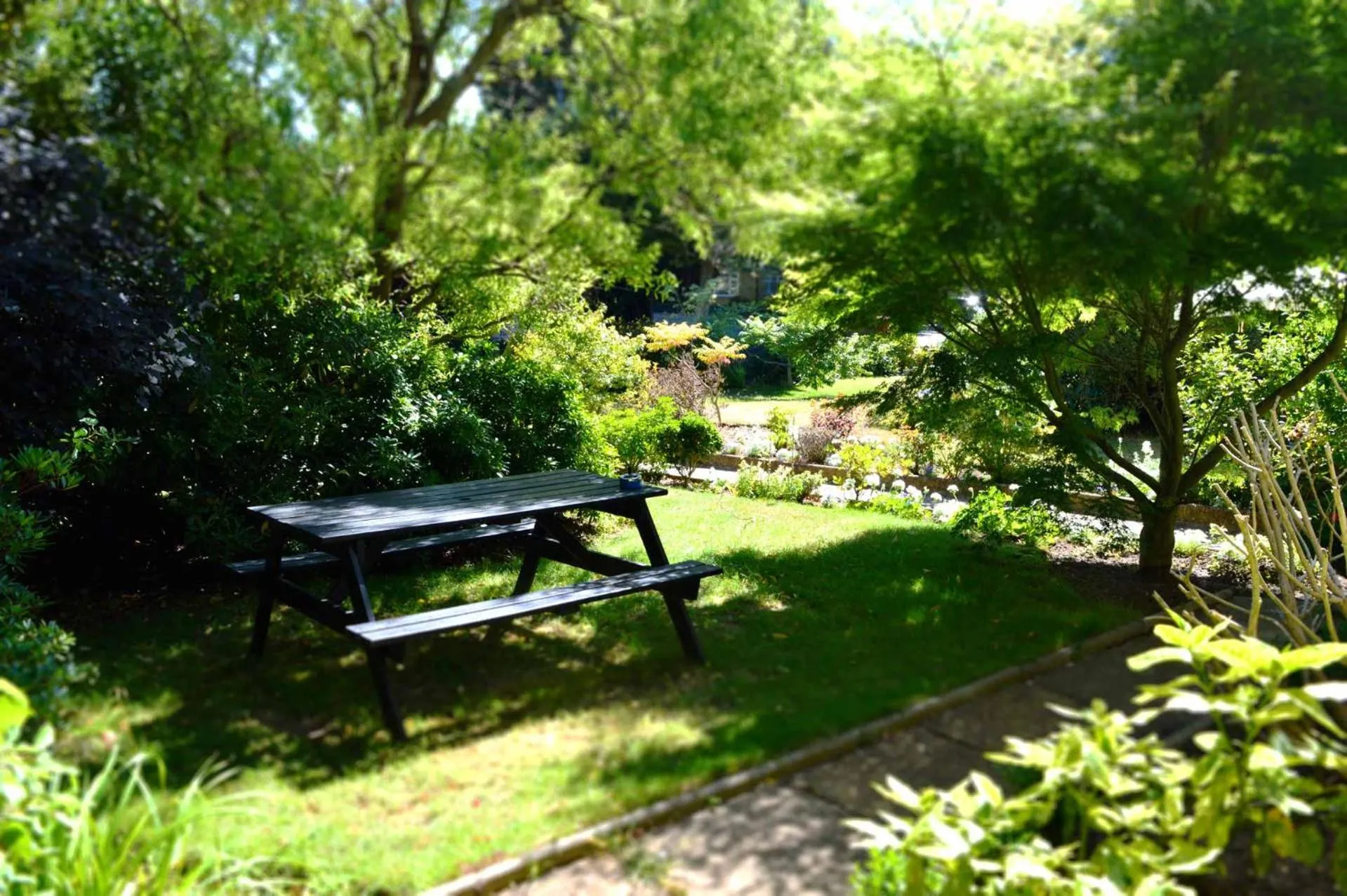 Property building in Somerton Lodge