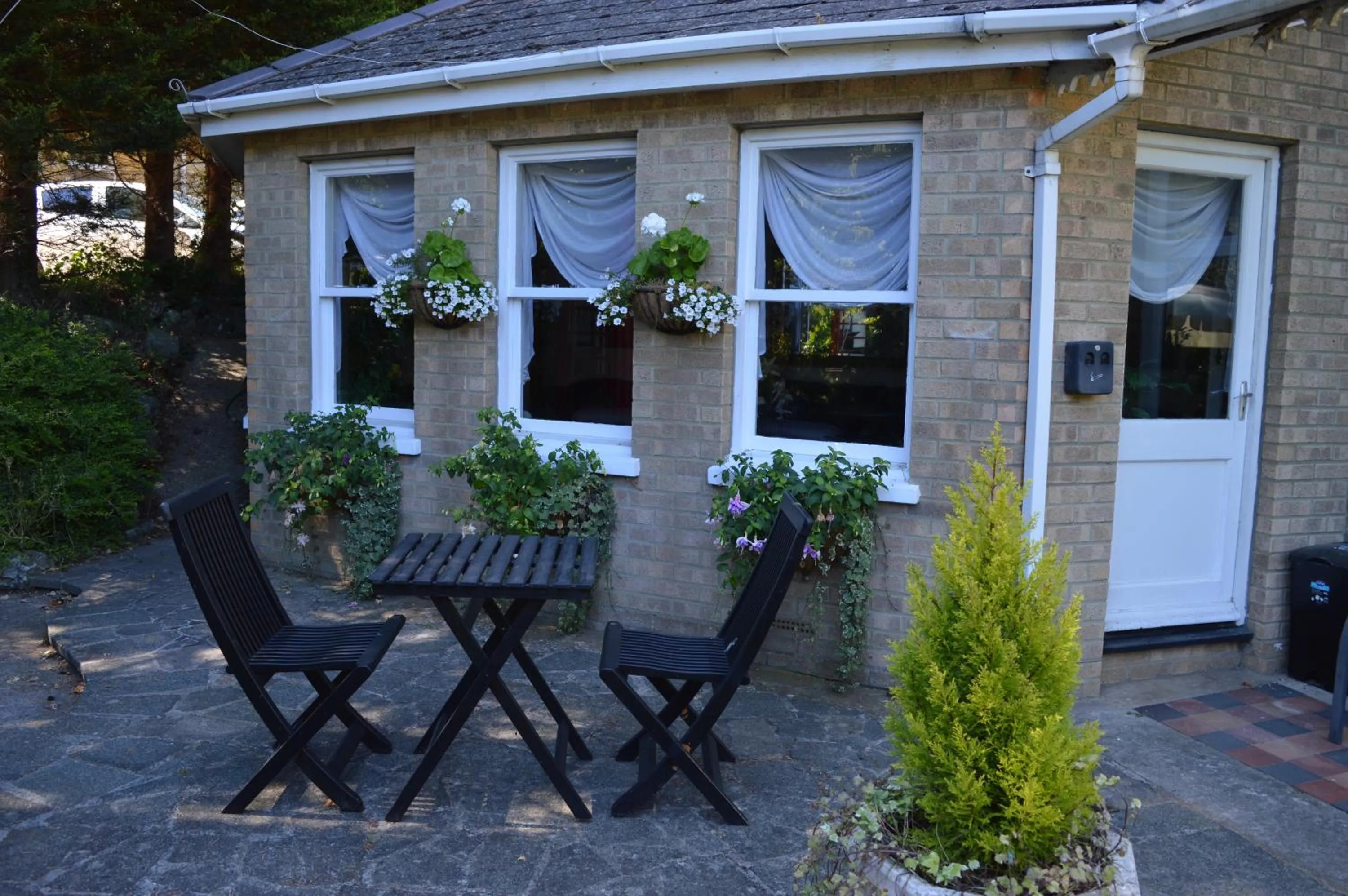 Garden in Somerton Lodge