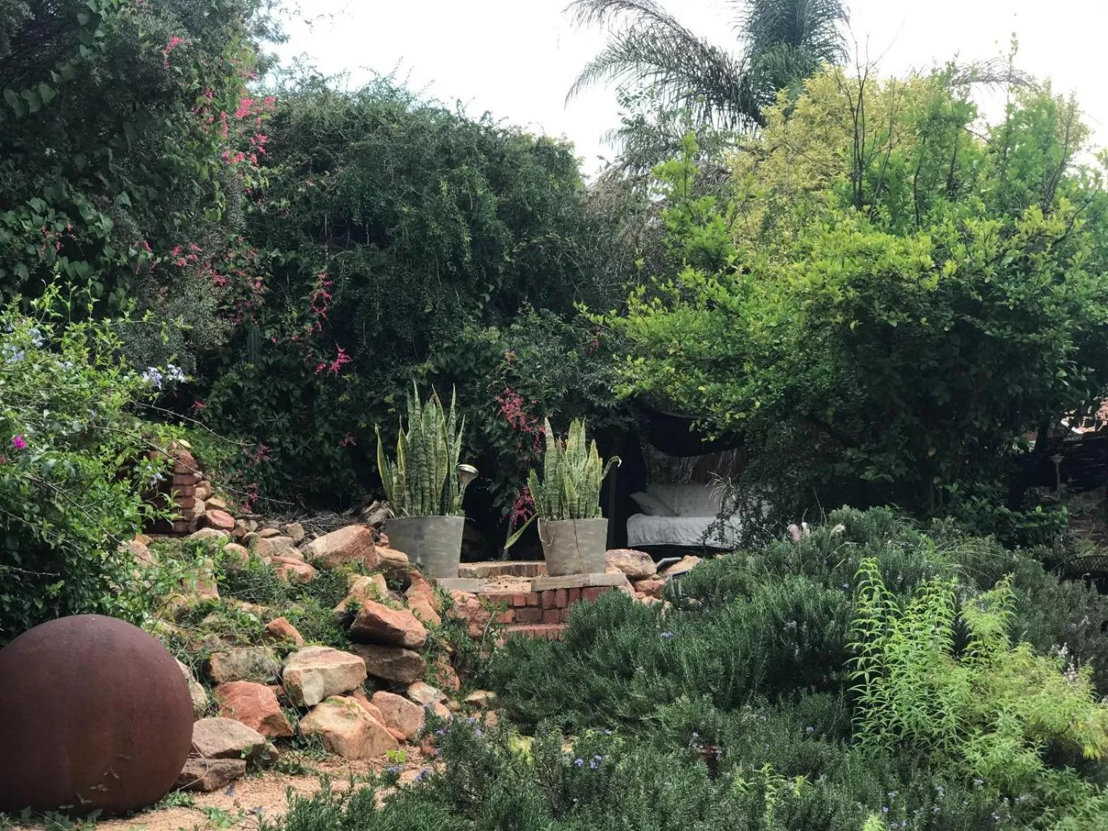 Garden in Aloe Guesthouse Klerksdorp