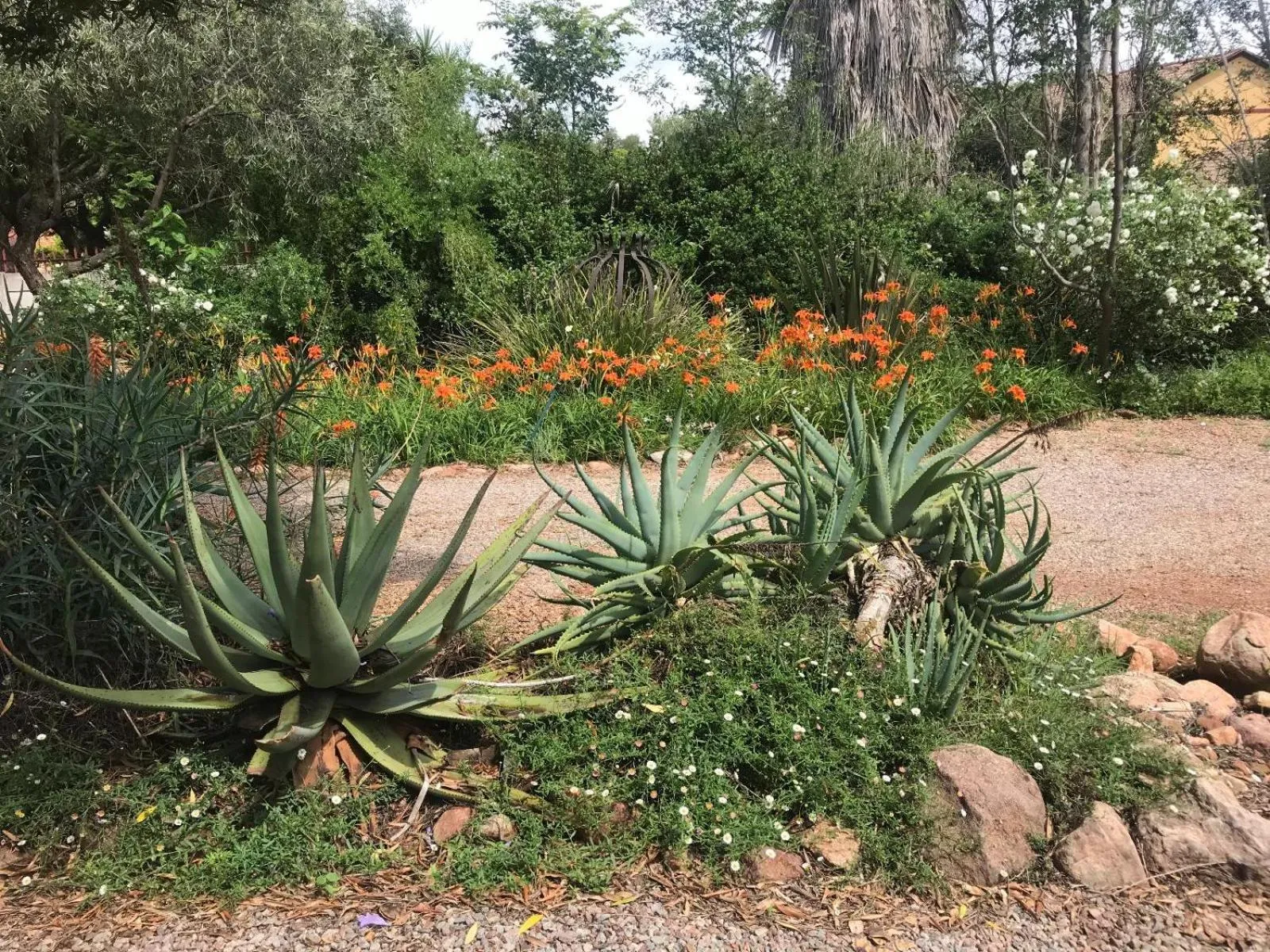 Garden in Aloe Guesthouse Klerksdorp