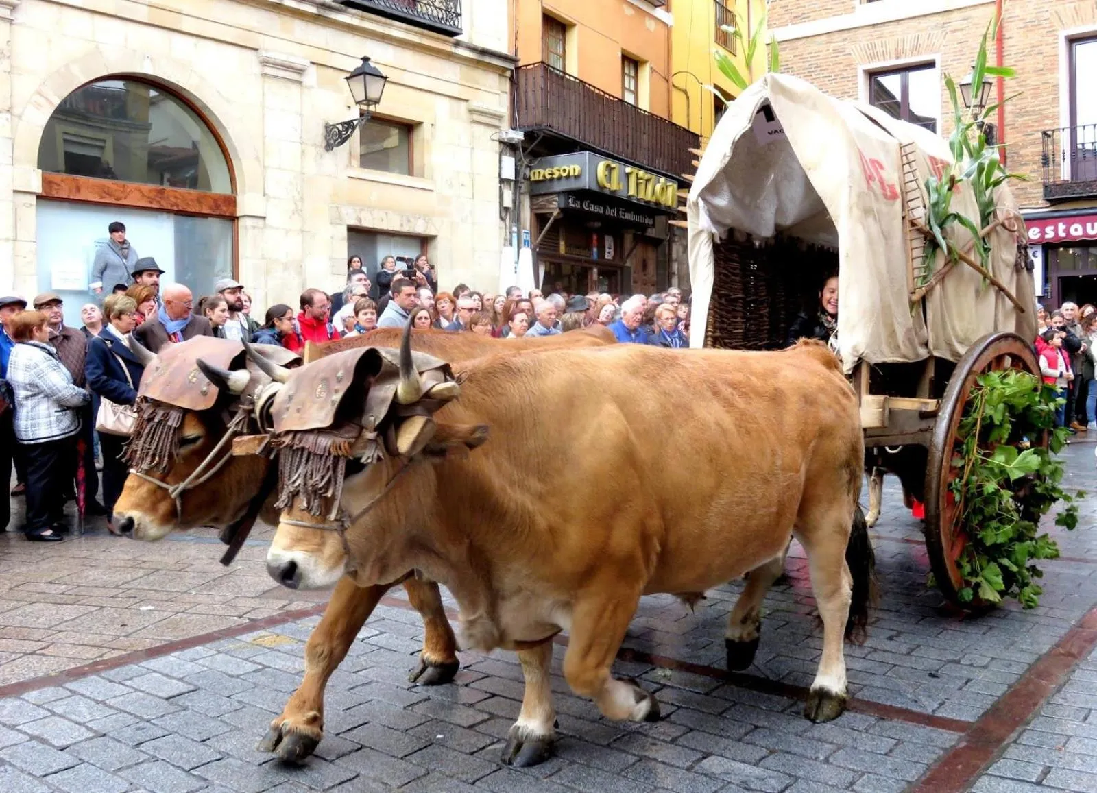 Off site in Entrevias Lodging - con Garaje y WIFI