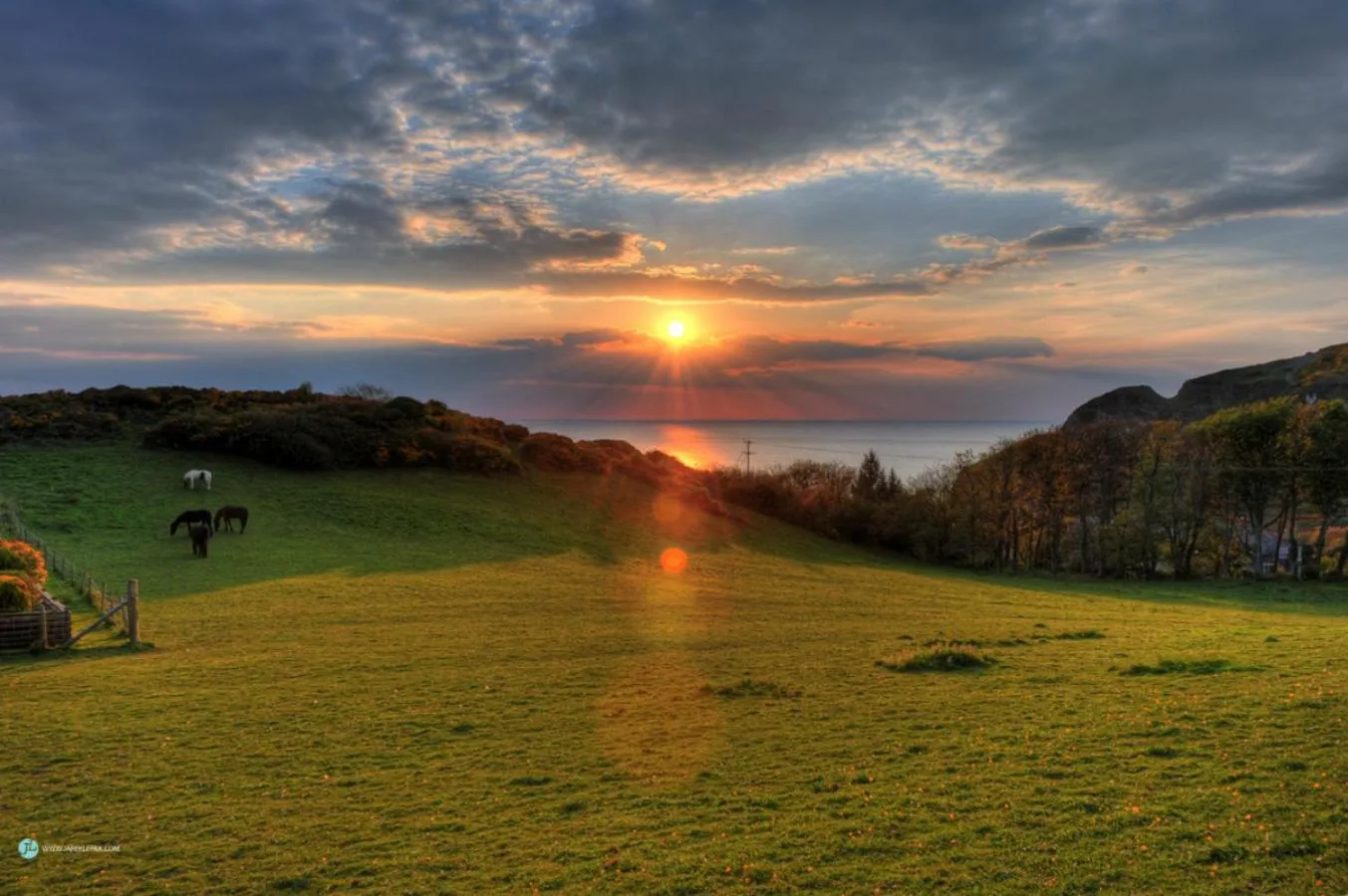 Natural landscape in Queensbridge Hotel