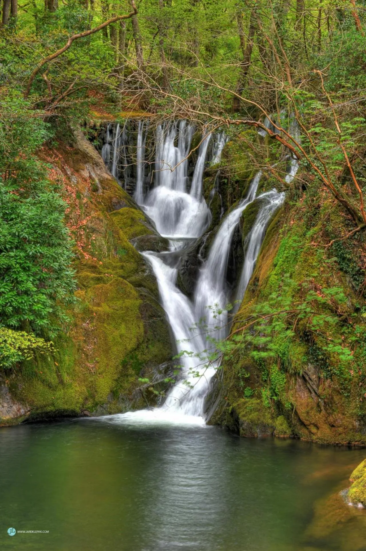 Natural landscape in Queensbridge Hotel