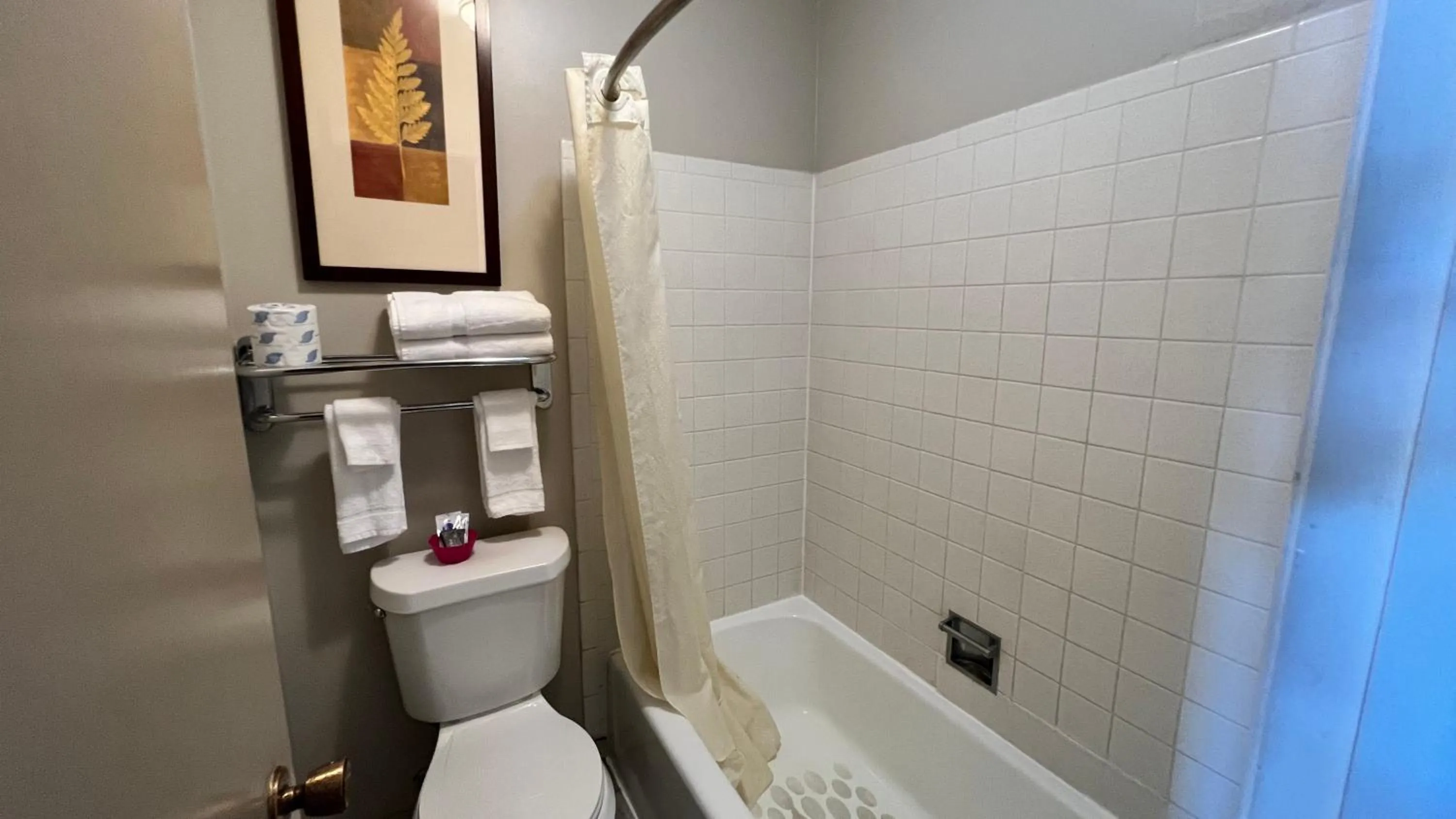 Bathroom in Capri Motel