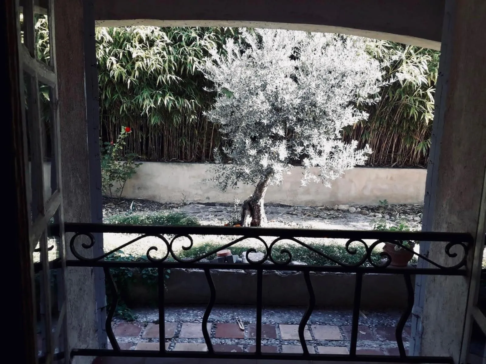 Garden view in La Gracette