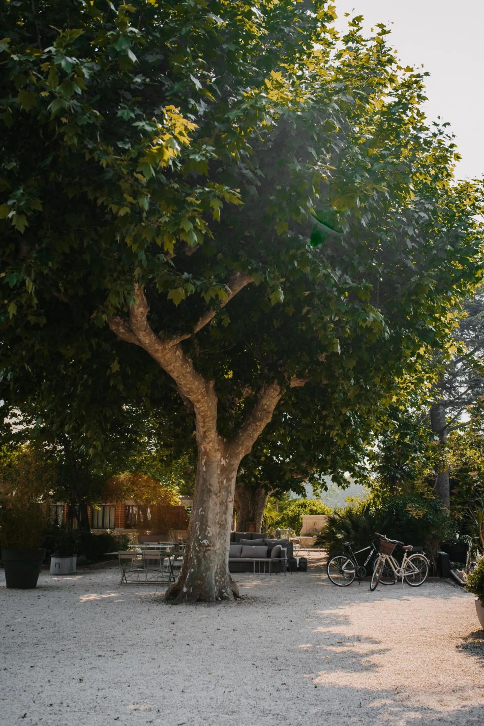 Natural landscape in Les intérieurs d'Angèle