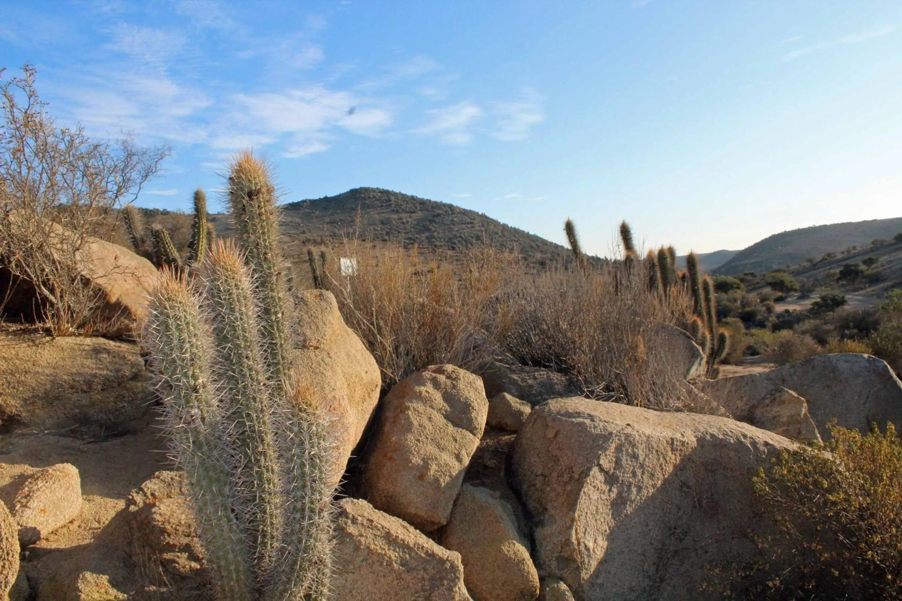 Off site in Hotel Boutique Terra Diaguita & Spa