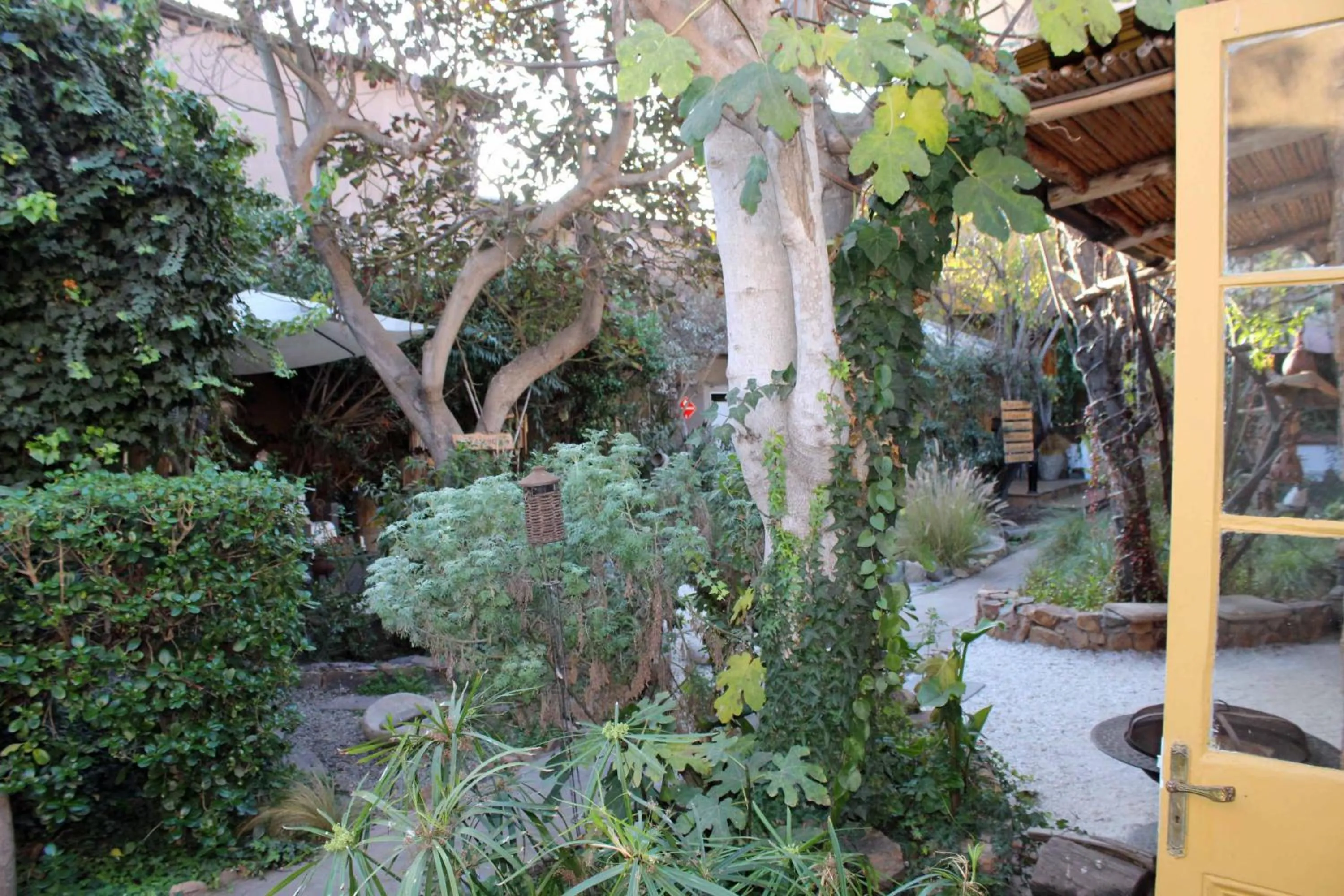 Patio in Hotel Boutique Terra Diaguita & Spa