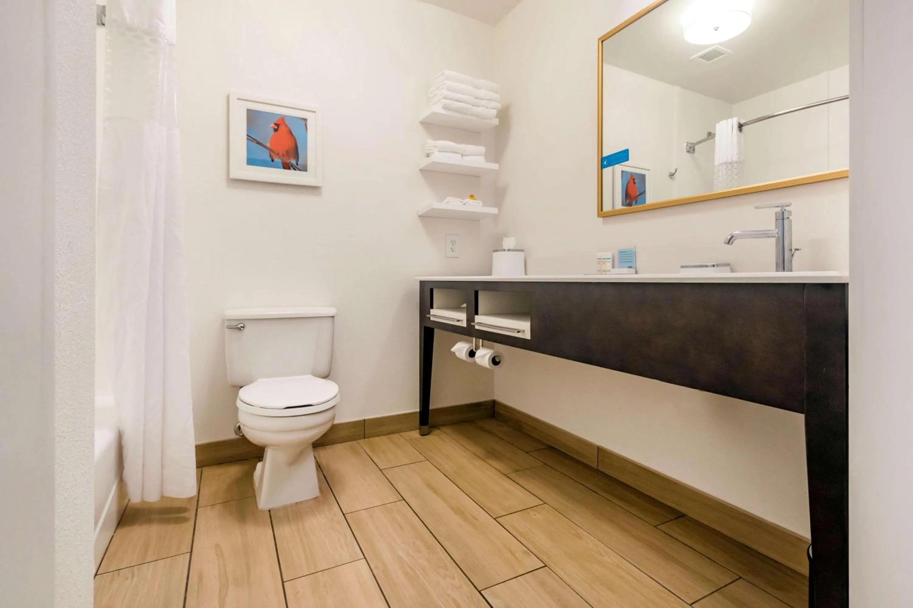 Bathroom in Hampton Inn Richmond KY