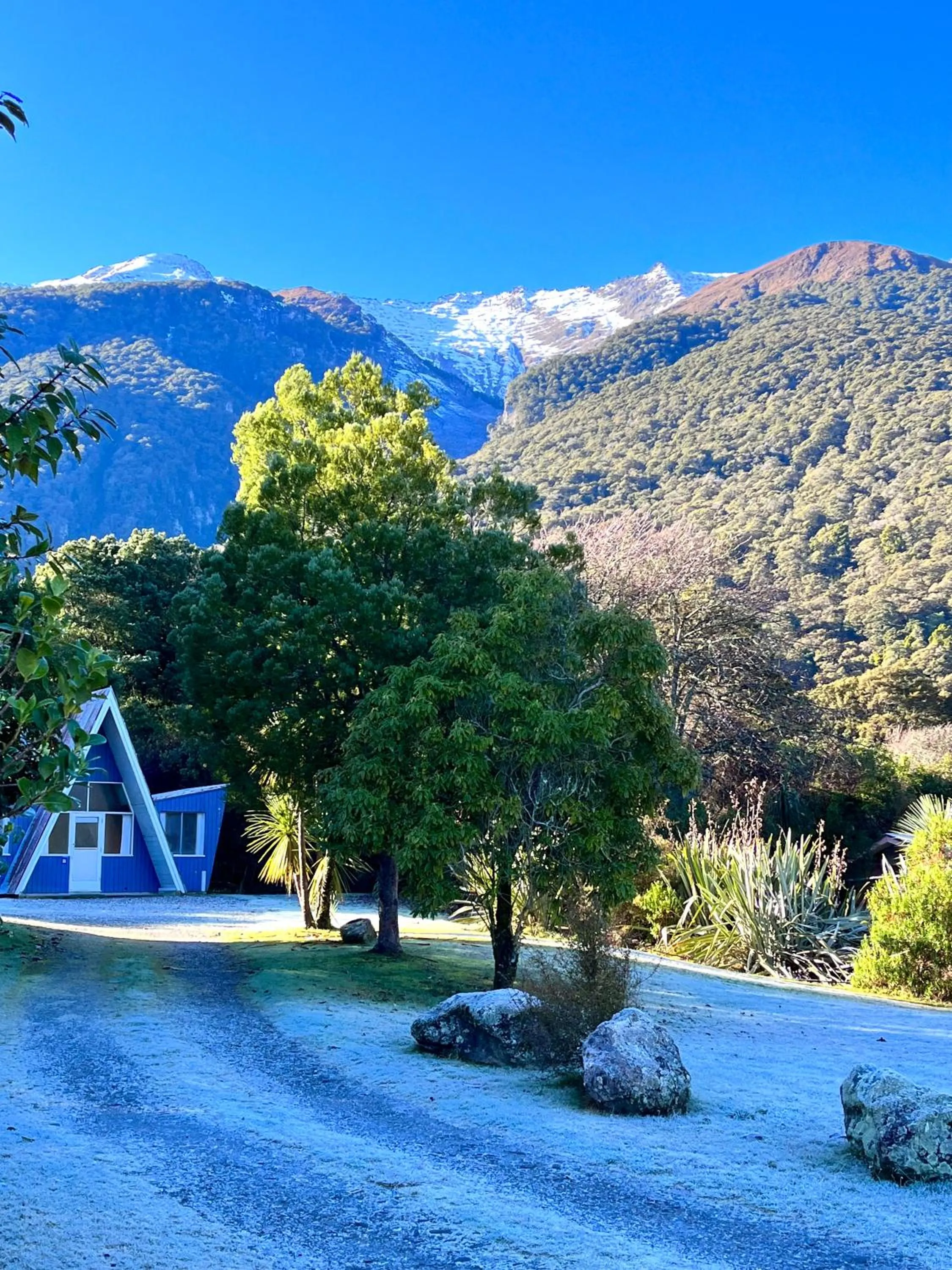 Day in Wonderland Makarora Lodge