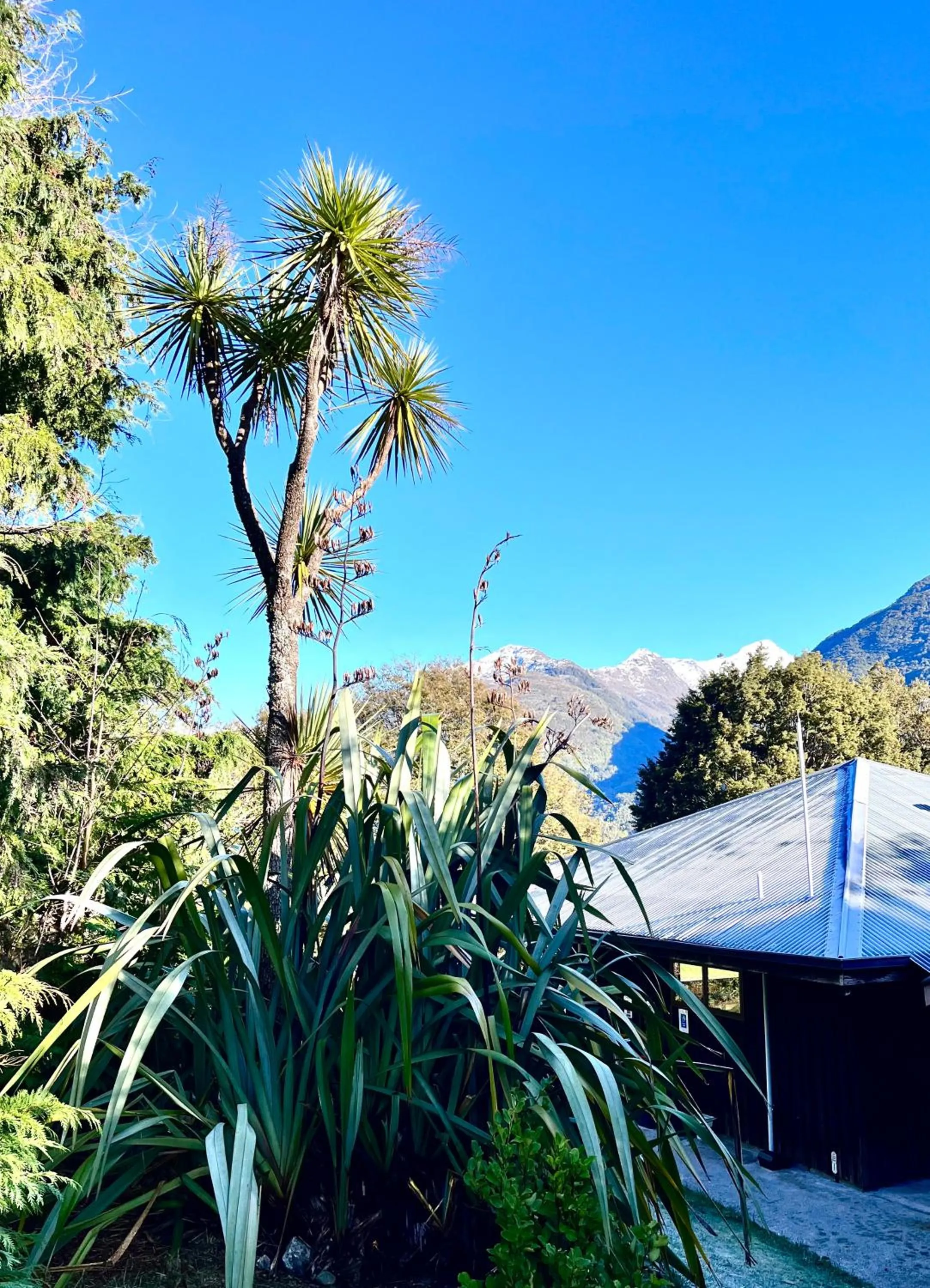 View (from property/room) in Wonderland Makarora Lodge