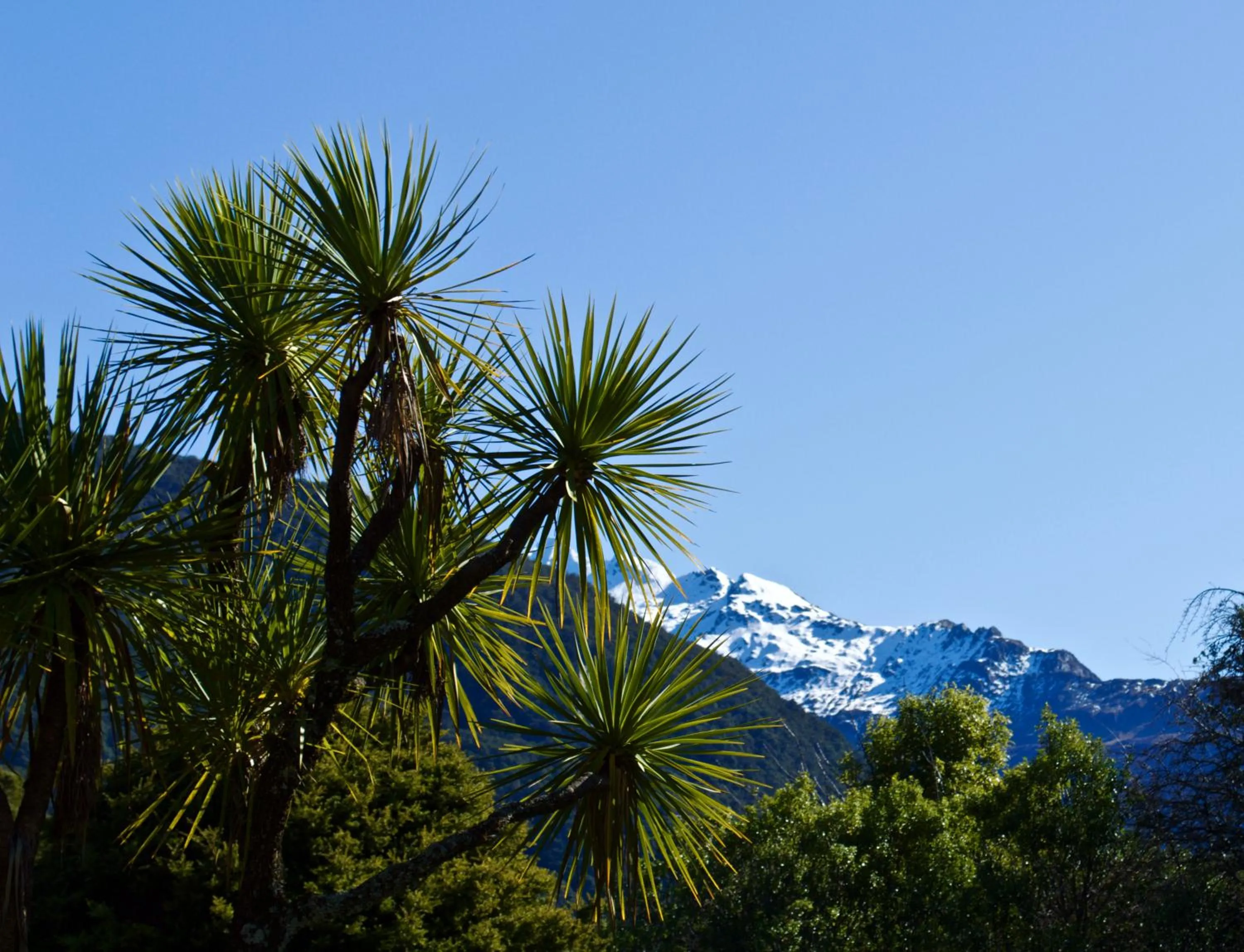 Natural landscape in Wonderland Makarora Lodge