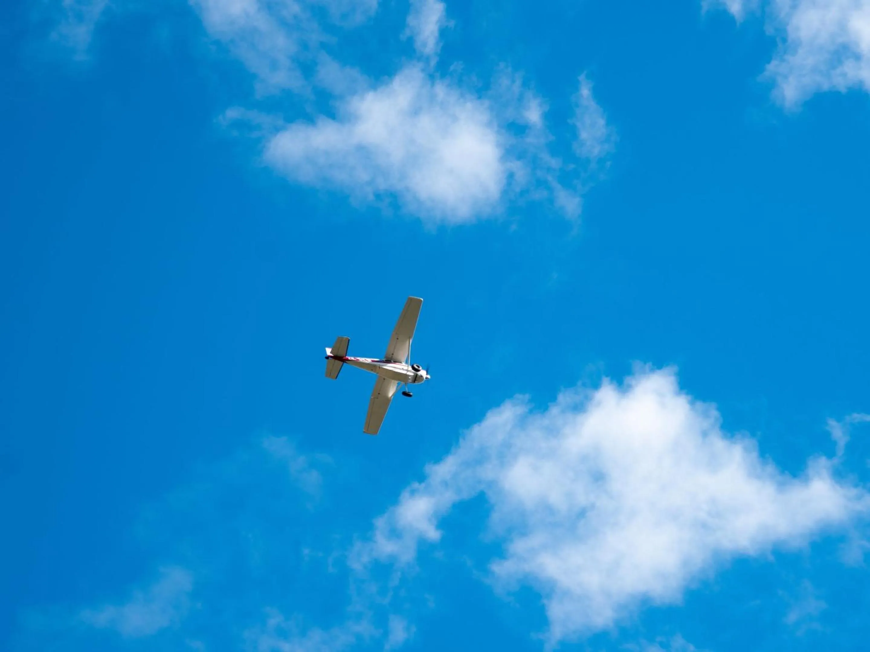 Activities in Wonderland Makarora Lodge