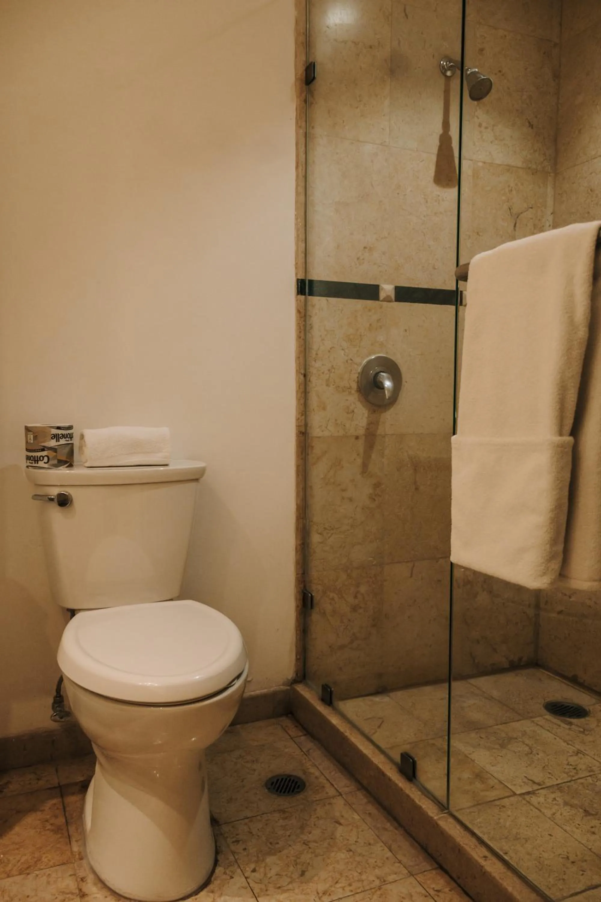 Hotel Victoria Express