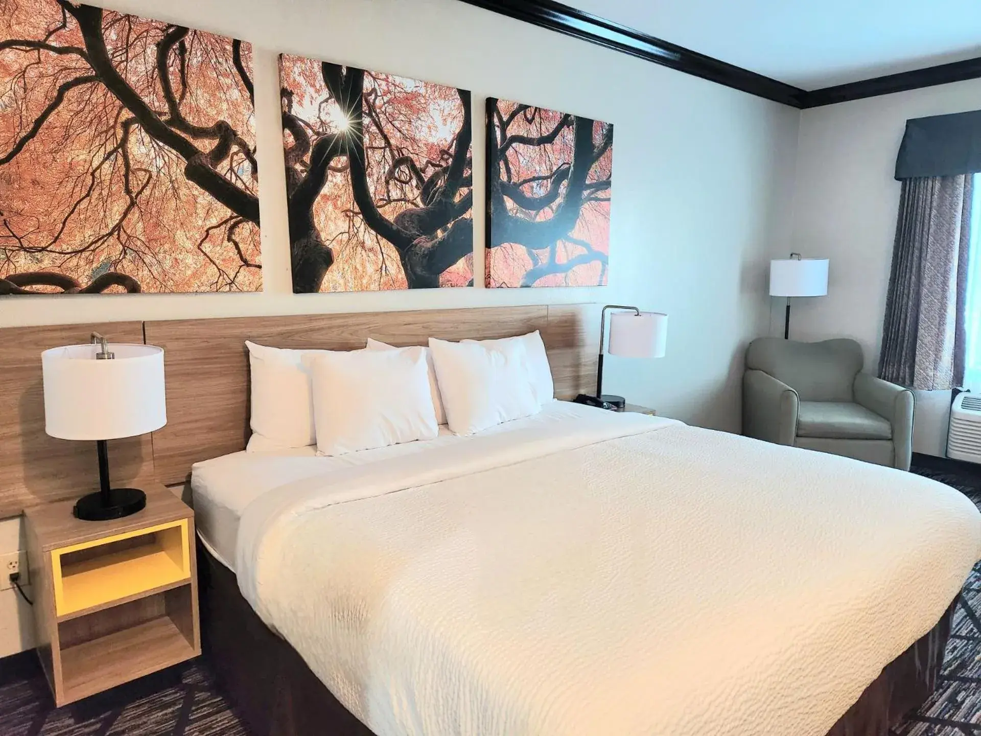 King Room - Non-Smoking in Days Inn by Wyndham Baton Rouge I-10 King Room - Non-Smoking in Days Inn by Wyndham Baton Rouge I-10