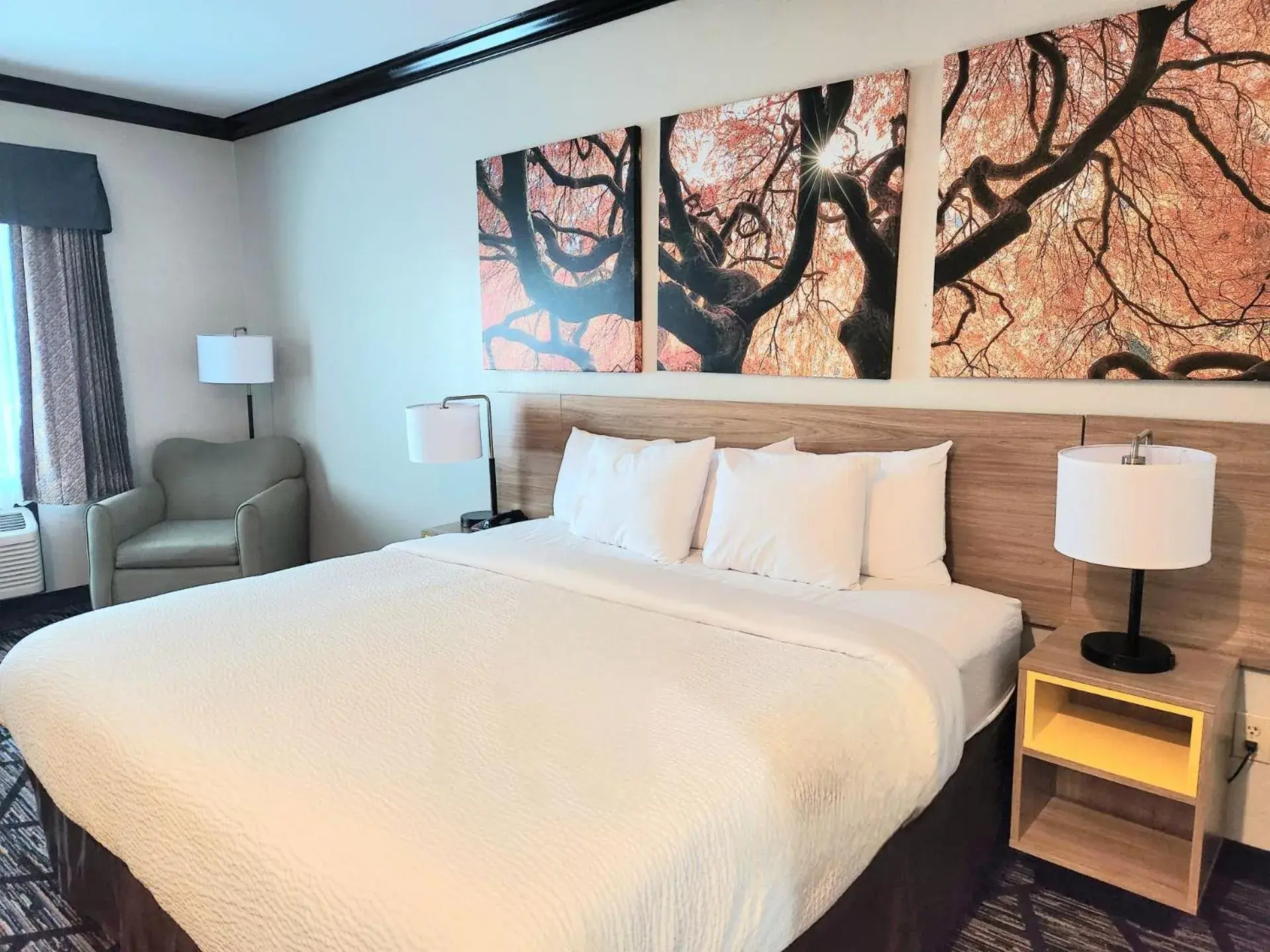 King Room with Mobility/Hearing Access and Bathtub with Grab Bars, Non-Smoking in Days Inn by Wyndham Baton Rouge I-10 King Room with Mobility/Hearing Access and Bathtub with Grab Bars, Non-Smoking in Days Inn by Wyndham Baton Rouge I-10