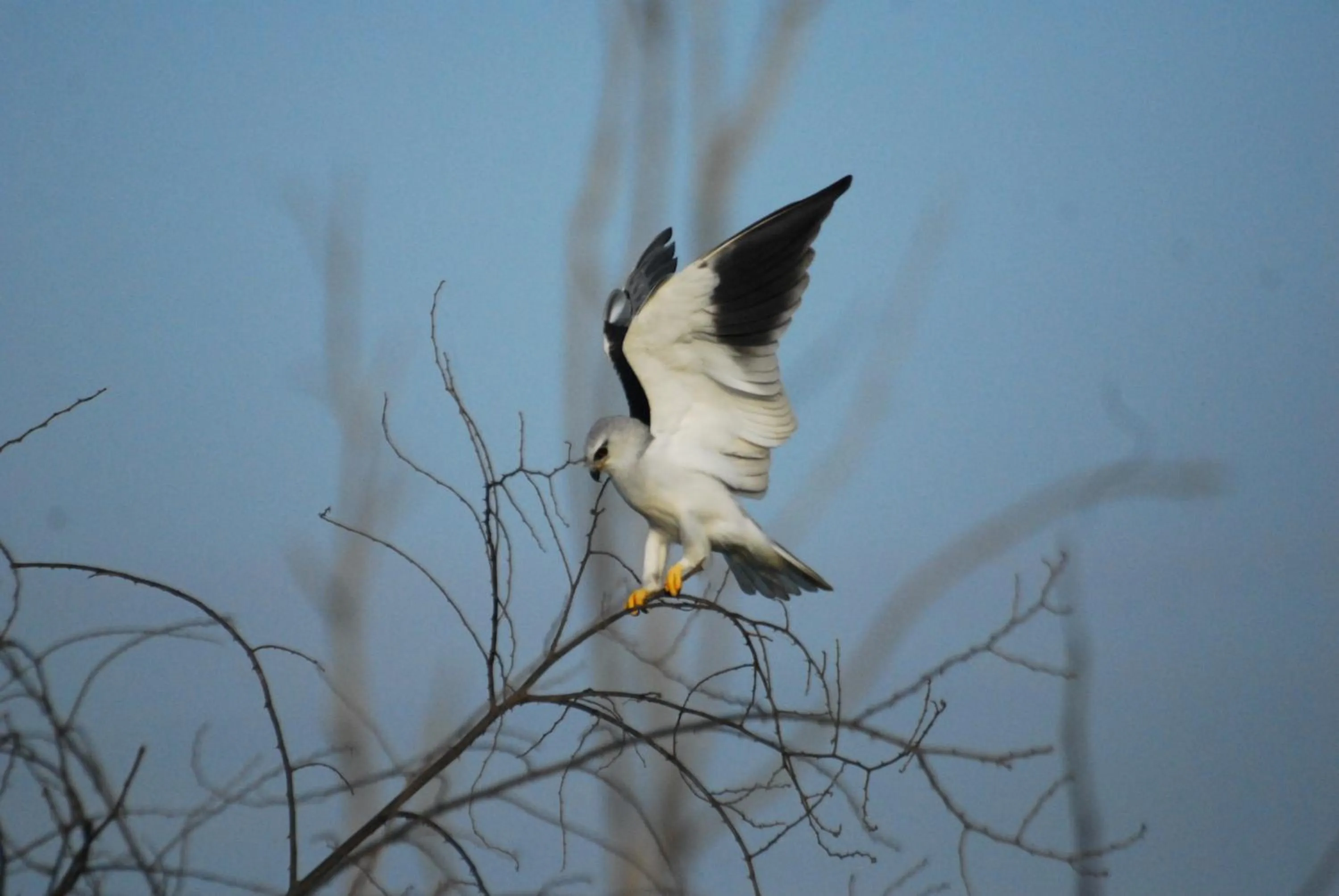 Other in Mahoora - Yala by Eco Team