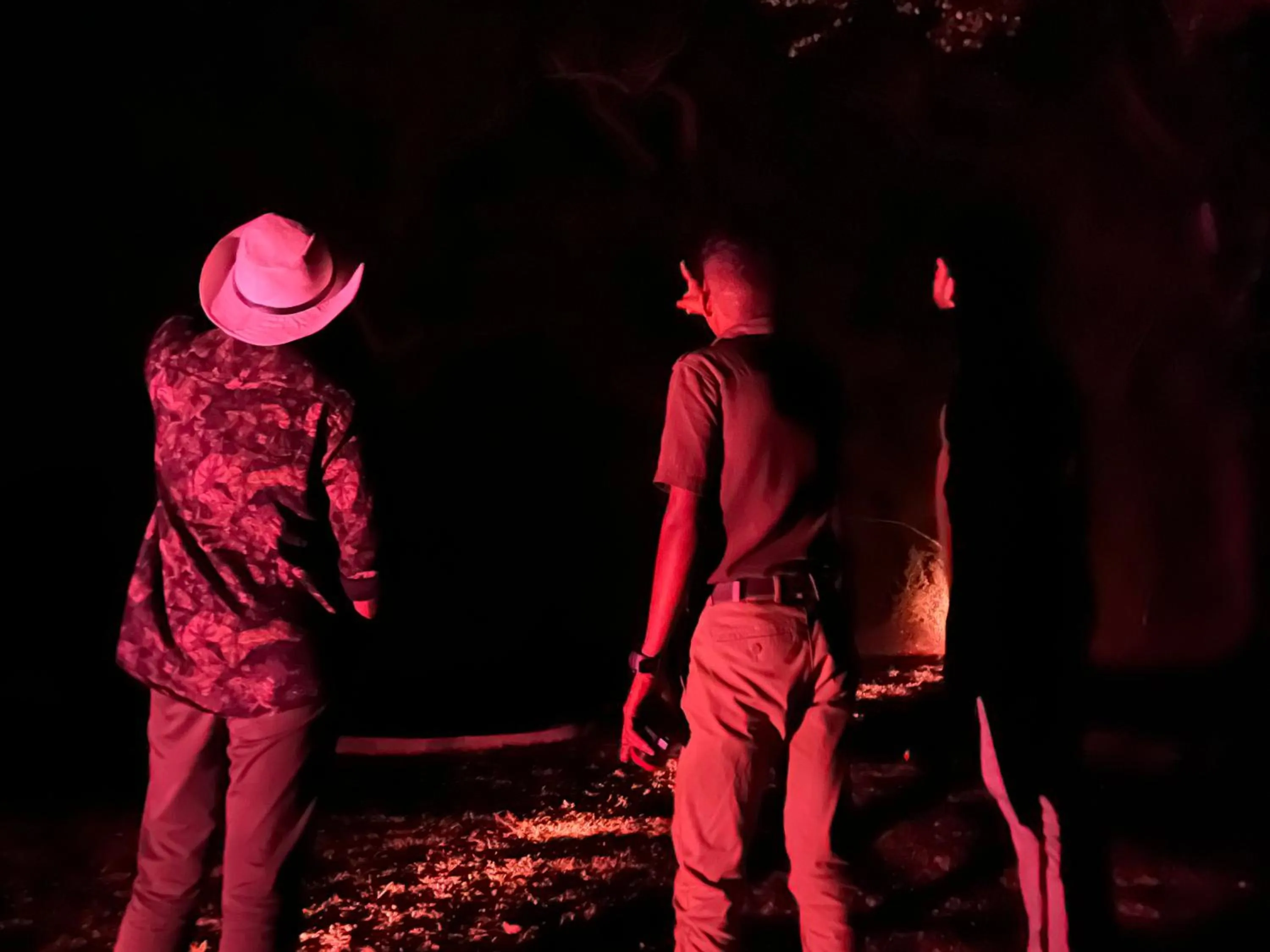 Night in Mahoora - Yala by Eco Team