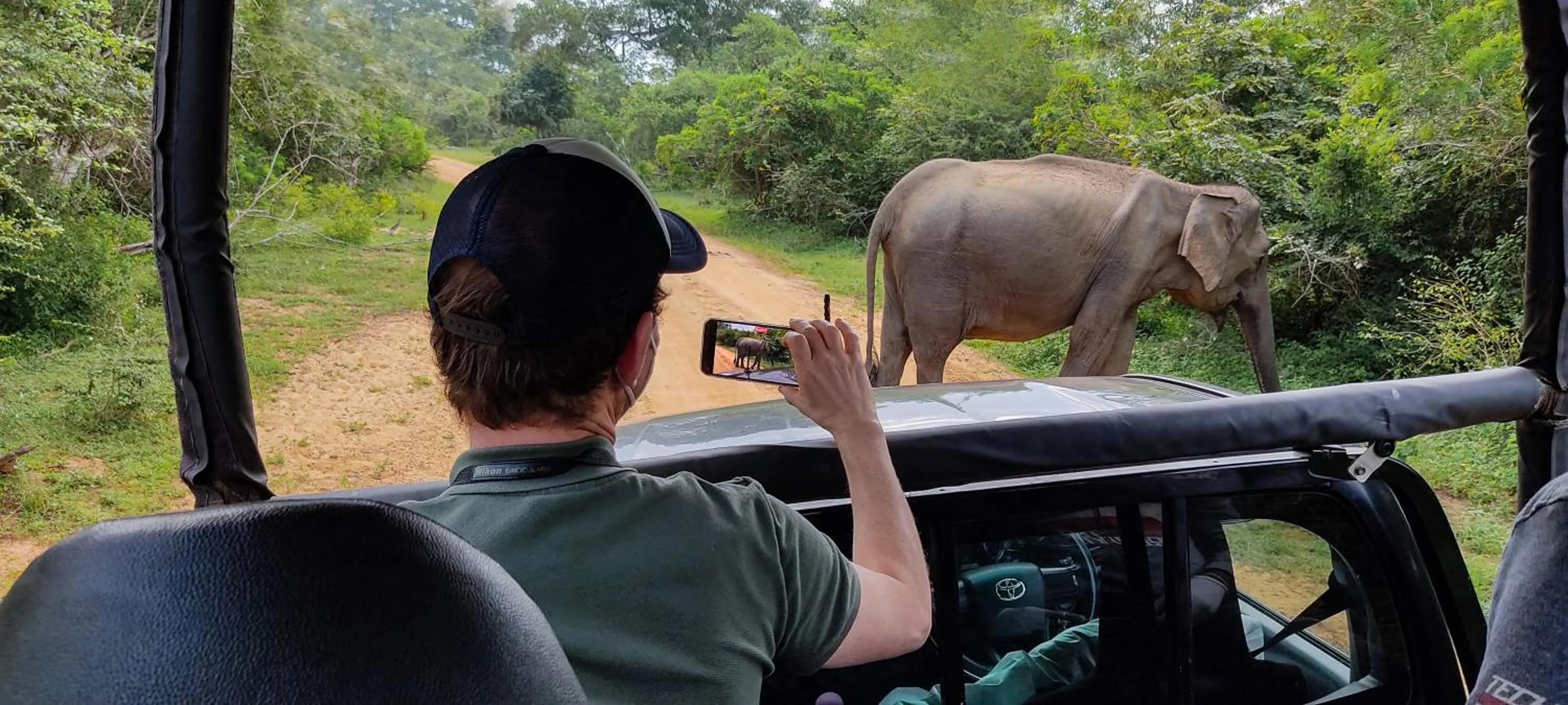 Animals in Mahoora - Yala by Eco Team