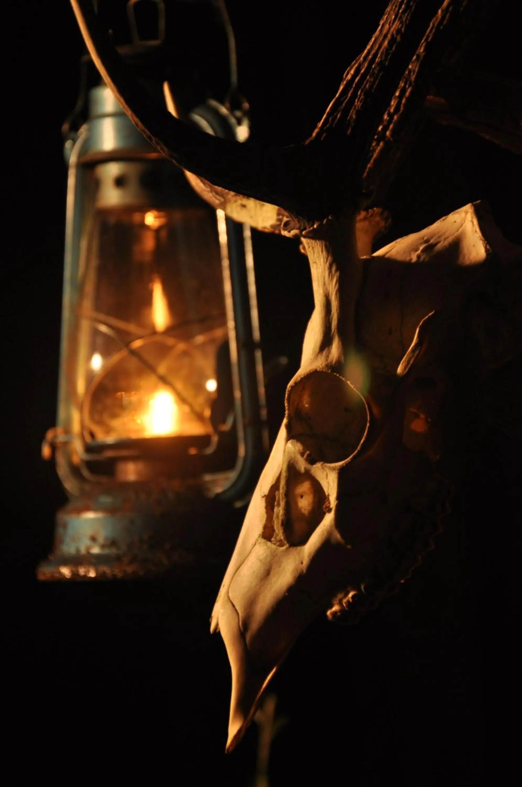 Other in Mahoora - Yala by Eco Team