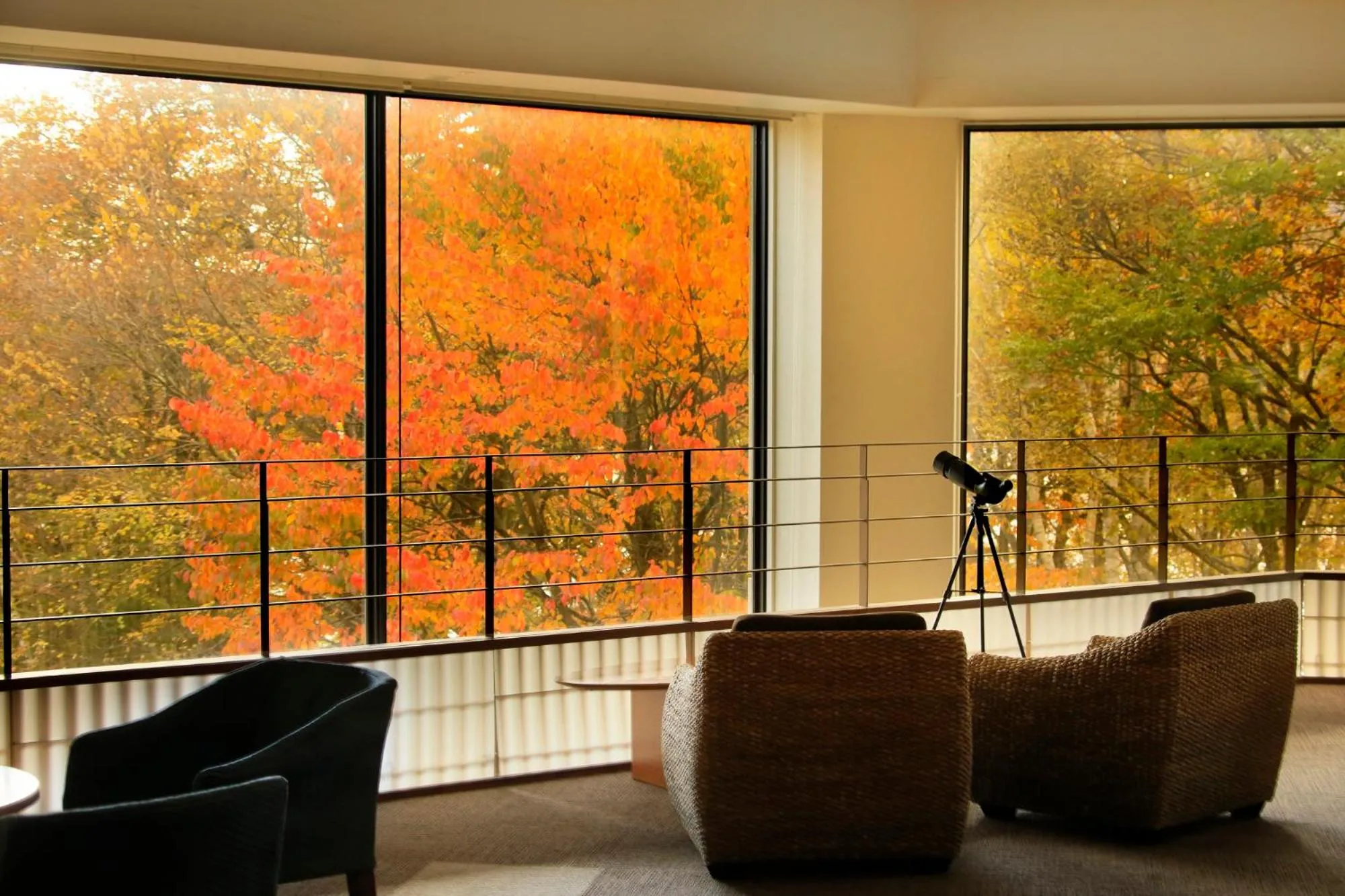 Lounge or bar in Hotel Shikisai