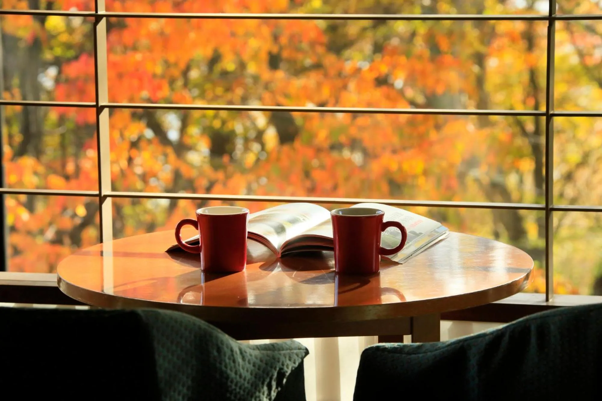 Lounge or bar in Hotel Shikisai